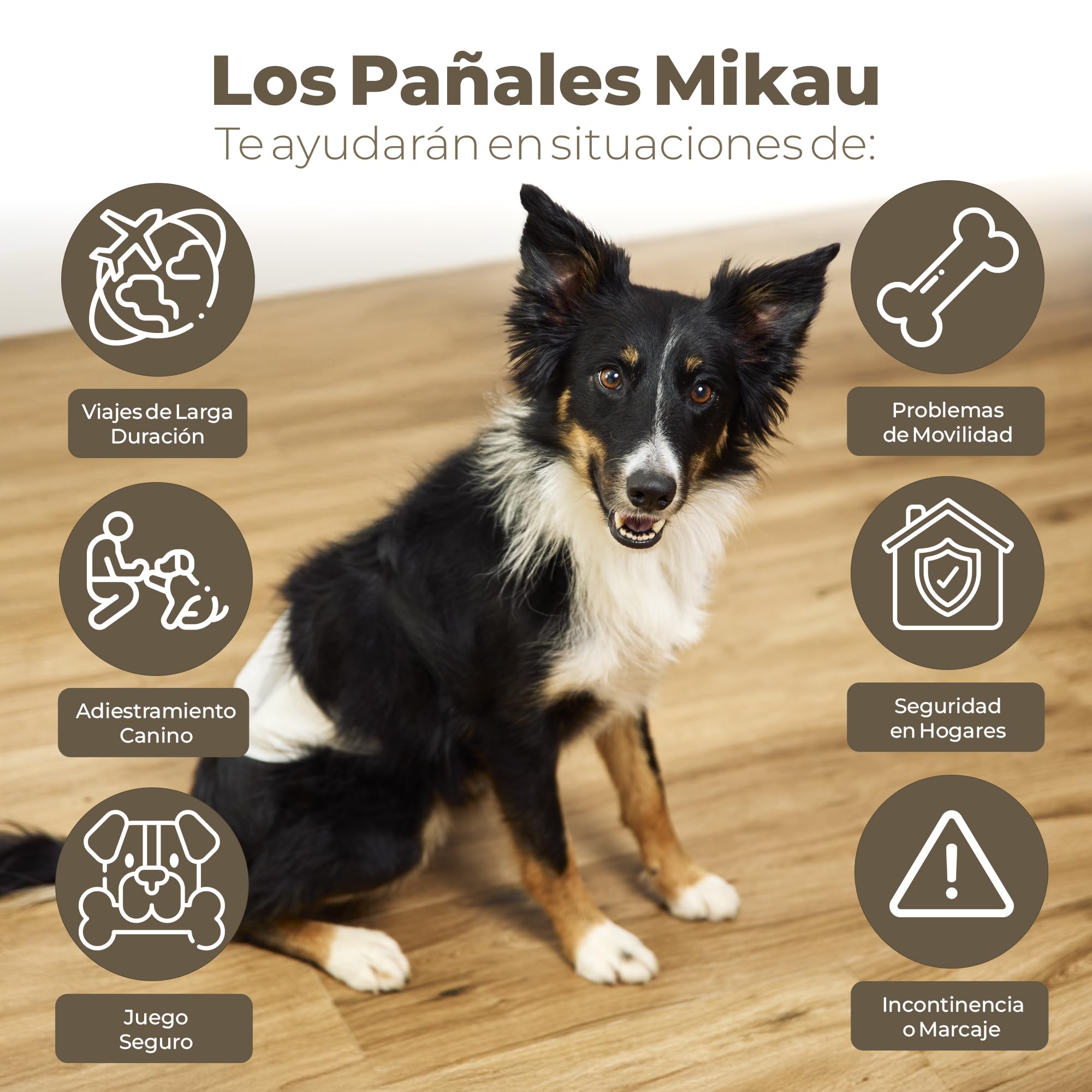 MIKAU Pañales para Perros (Pack de 48) - Pañales Perro Macho Ultra Absorbentes, Ajuste Antifugas, Cómodos y Resistentes, Fácil Colocación. Rollo de Bolsas de Caca Incluido (Talla S)