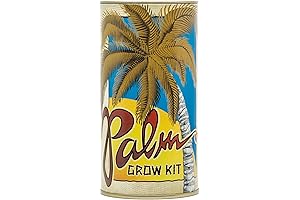 Sabal Palm Grow Kit: Effortless Gardening for a Majestic Palm Tree