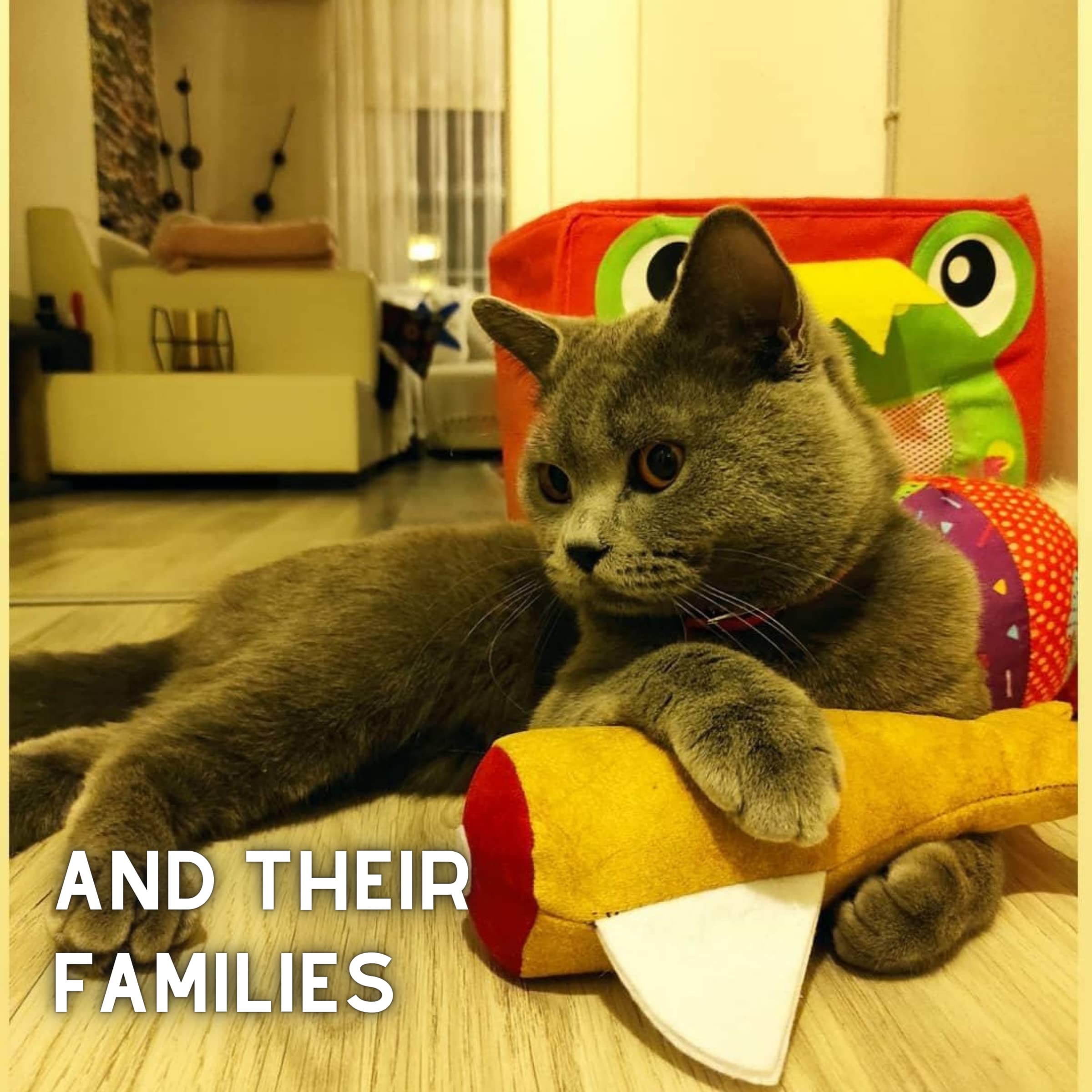 pawdaz Juguete de pescado para gatos, relleno de vid de plata Matatabi y ayuda a aliviar la ansiedad, suministros esenciales de hierba gatera para gatitos, juguetes interactivos grandes para masticar