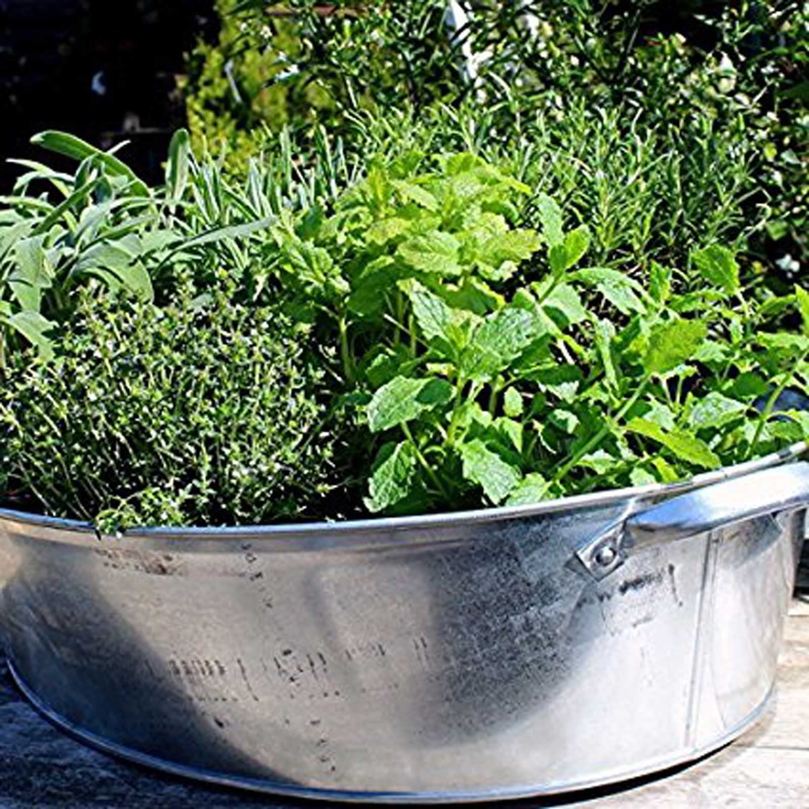 Storm's Gartenzaubereien Zinkwanne 27 Liter oval mit stabilen Griffen - Miniteich - zum Bepflanzen - Pflanztopf