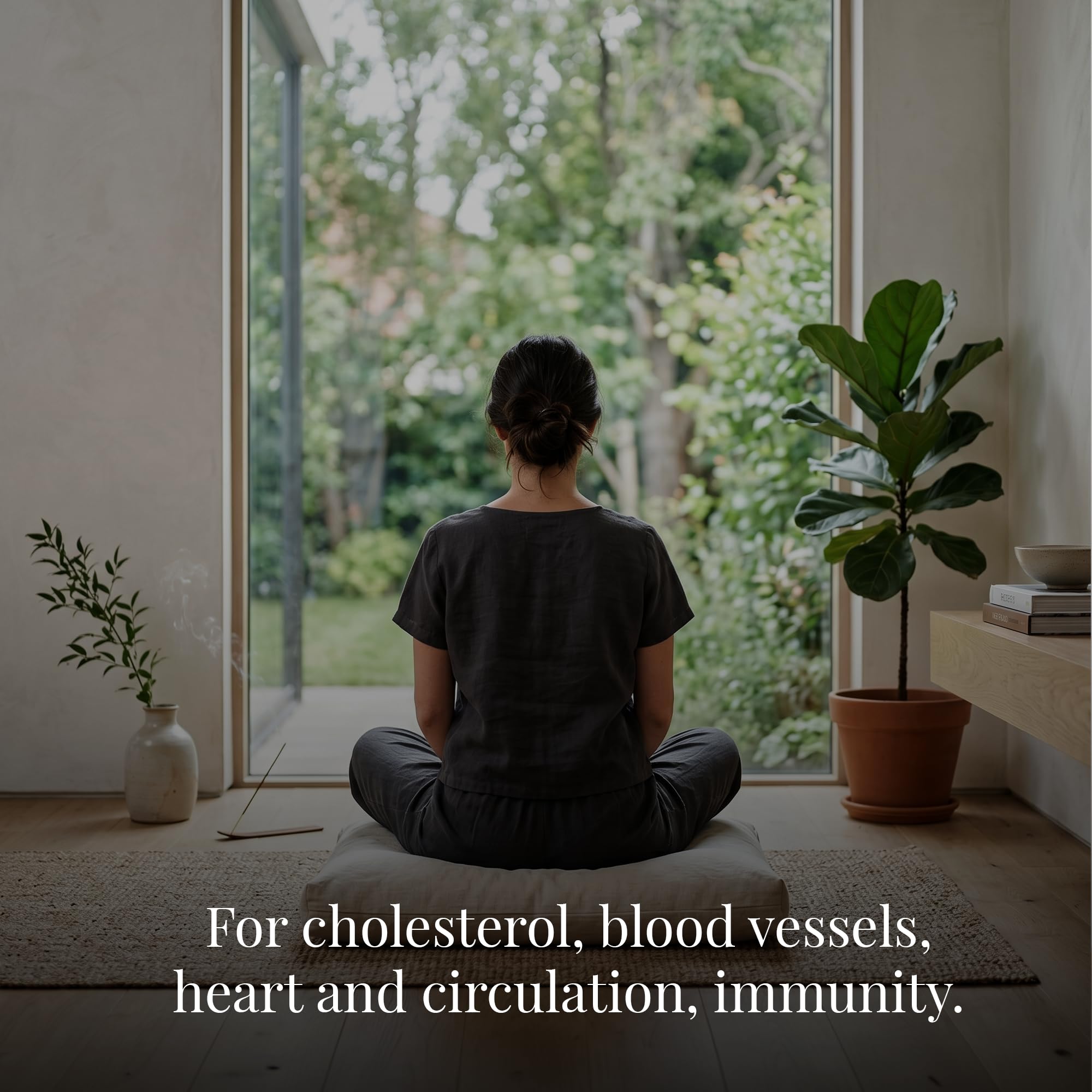 CholestShield+ Kapseln – Vegane Rezeptur mit Nattokinase, Shiitake & Coenzym Q10 – 120 Kapseln – Nahrungsergänzungsmittel