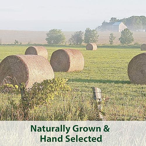 Miniatura 7 de Kaytee Timothy - Cubos de mezcla de heno de 1 libra
