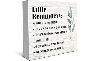 SRADMO Decorative Sign, Desk Decor with Sayings