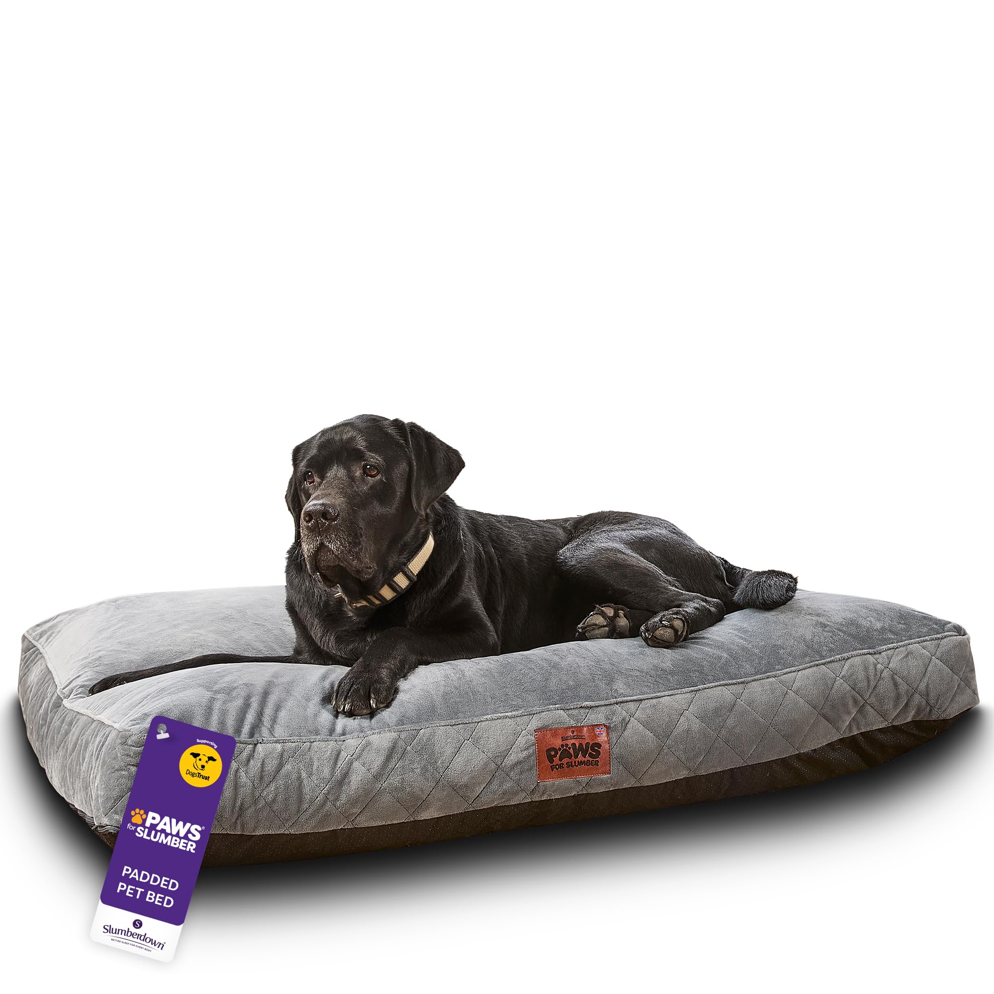 Slumberdown Luxury Padded XL Dog Bed (90 * 120 * 20cm) - Supportive, Cushioned & Washable Crate Mattress for Puppies, Dogs & Cats | Orthopedic, UK-Made, Non-Slip Base, Grey โ image 1