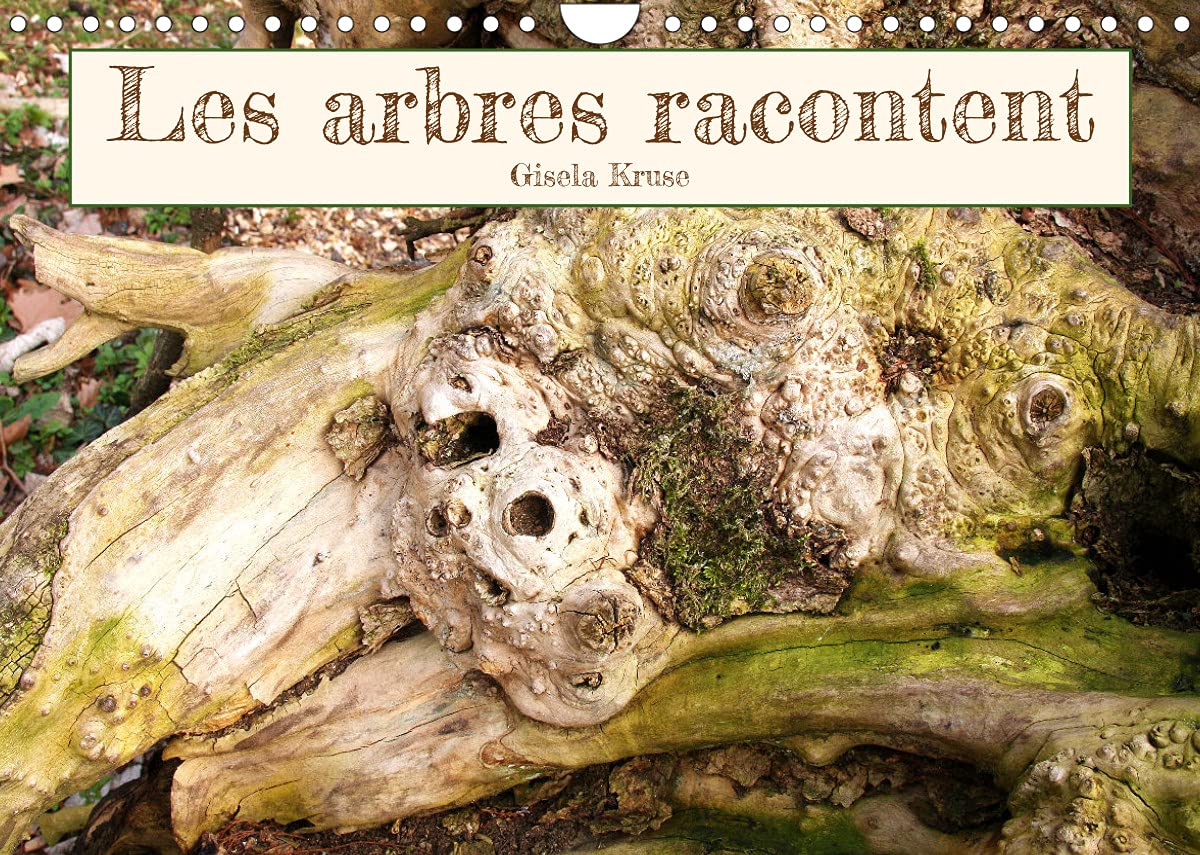Les arbres racontent (Calendrier mural 2022 DIN A4 horizontal): L'art inspiré des vieux troncs d'arbres (Calendrier mensuel, 14 Pages )