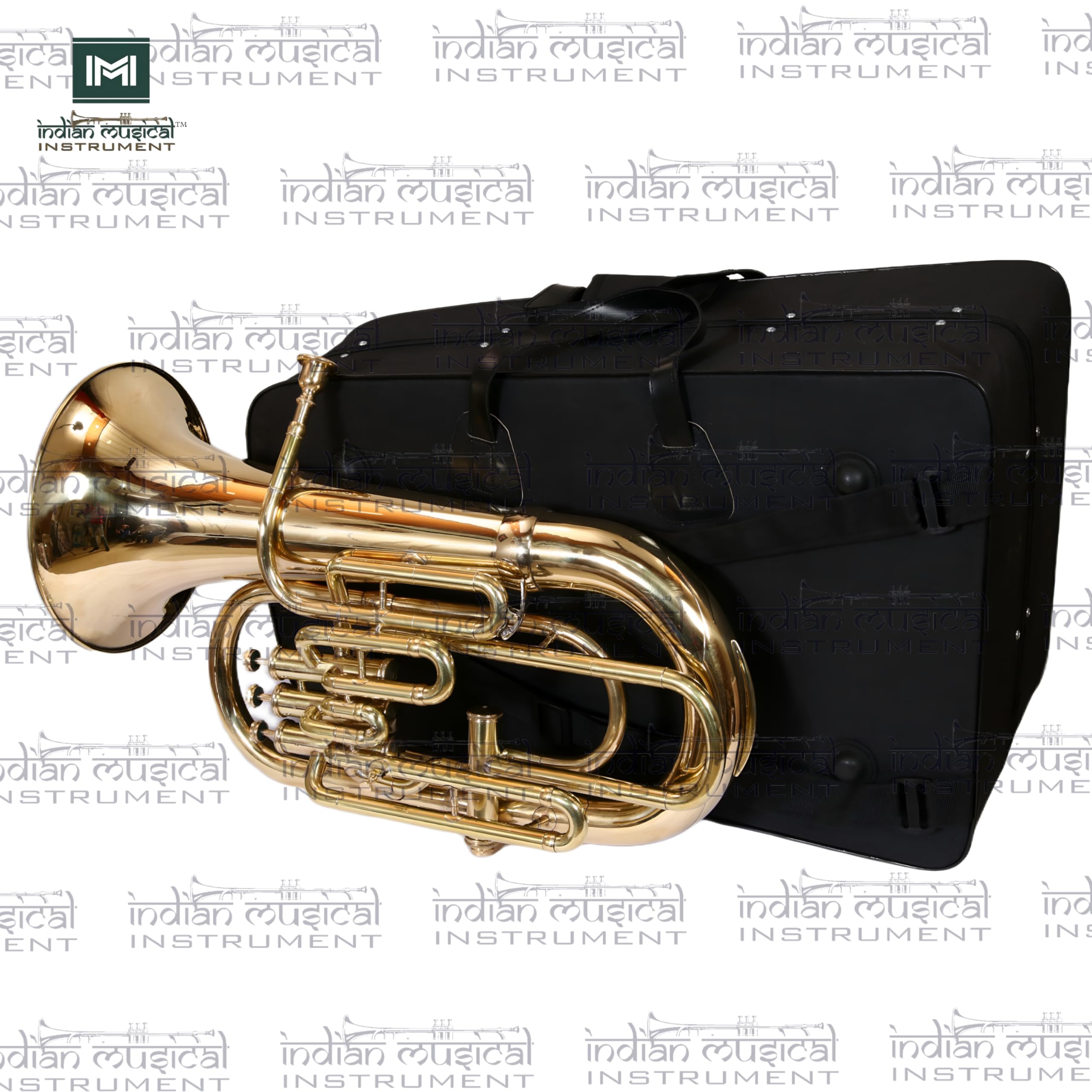 IMI EUPHONIUM 4 VALVOLA Strumento musicale con tutti gli accessori (ORO)