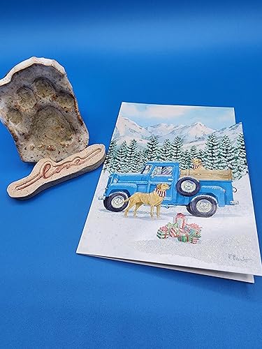 Miniatura 5 de Performing Arts Peace On Earth - Juego de tarjetas de Navidad en caja, paquete de 18 tarjetas de felicitación religiosas basadas en la fe de