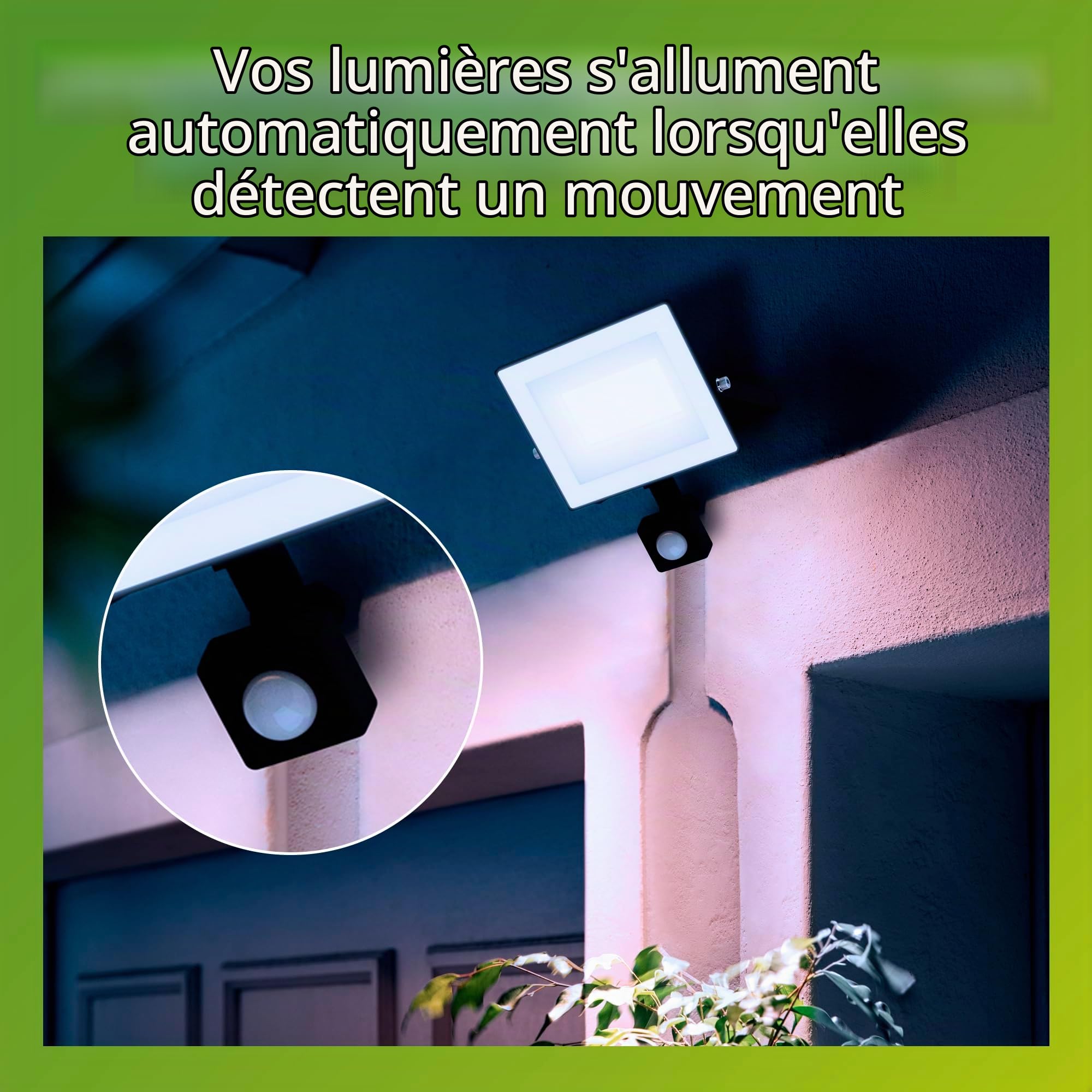 Philips Lois Projecteur Extérieur avec Capteur, 30 W, 5000 K, Noir (Lot de 2)