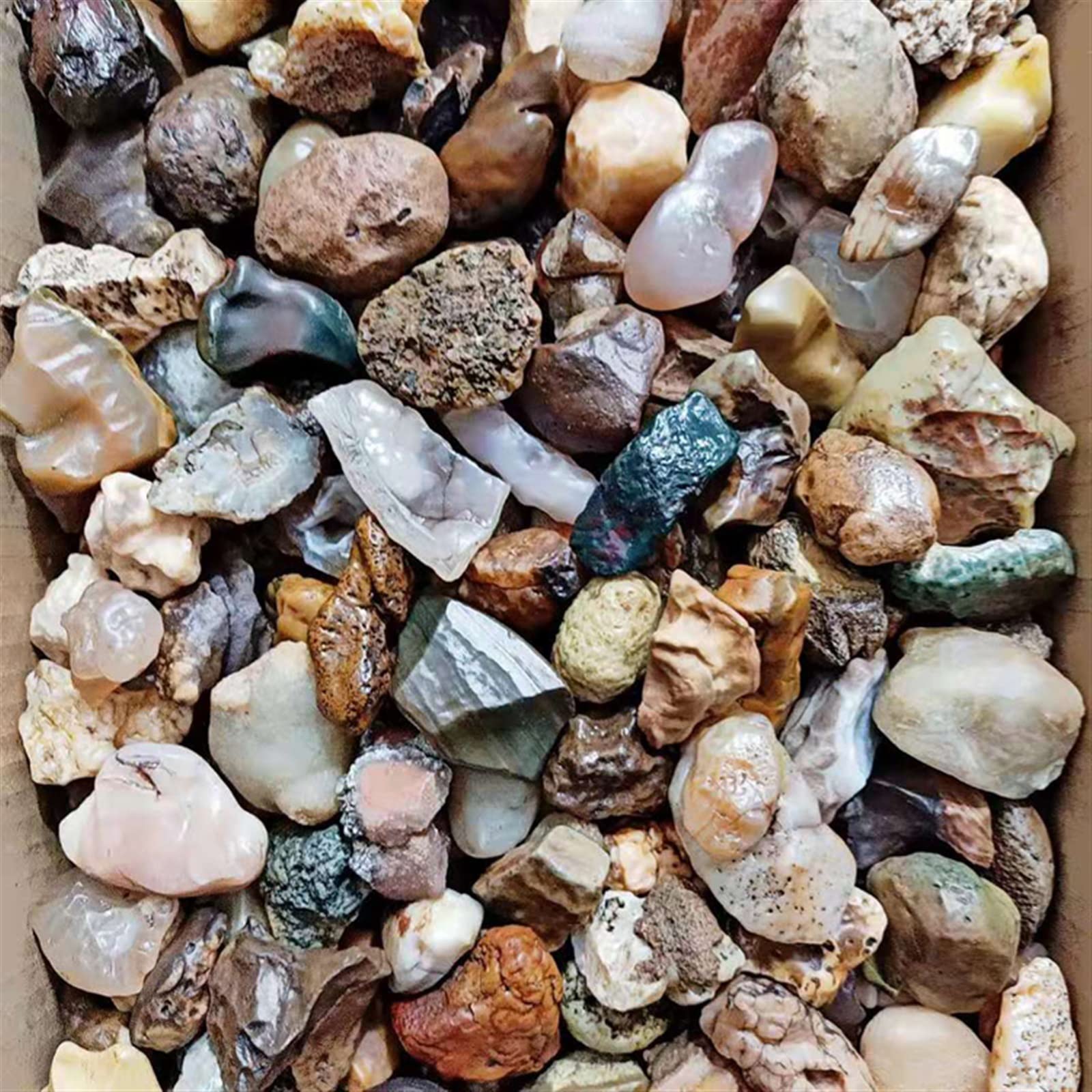100 g Alxa Gobi Agata Naturale Gobi Stone Fish Tank Stone Strange Stone Collection Stone Family Fish Tank Decorazione Pietra Collezioni di casa