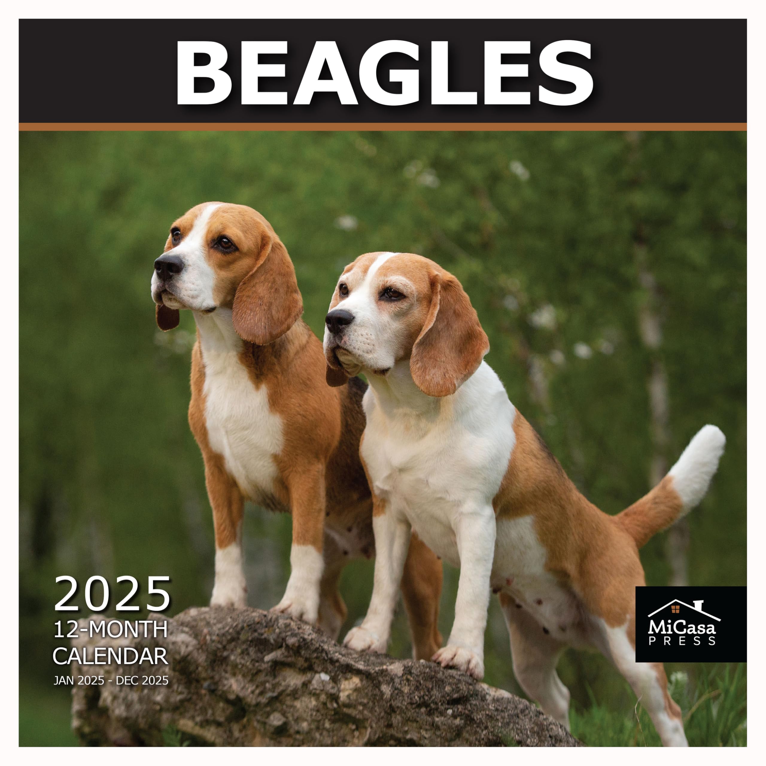 MICASA PRESS - Beagles 2025 Wall Calendar 12 Month | 12" x 24" Open | Thick &amp; Sturdy Paper | Giftable | Dog Calendar 2025