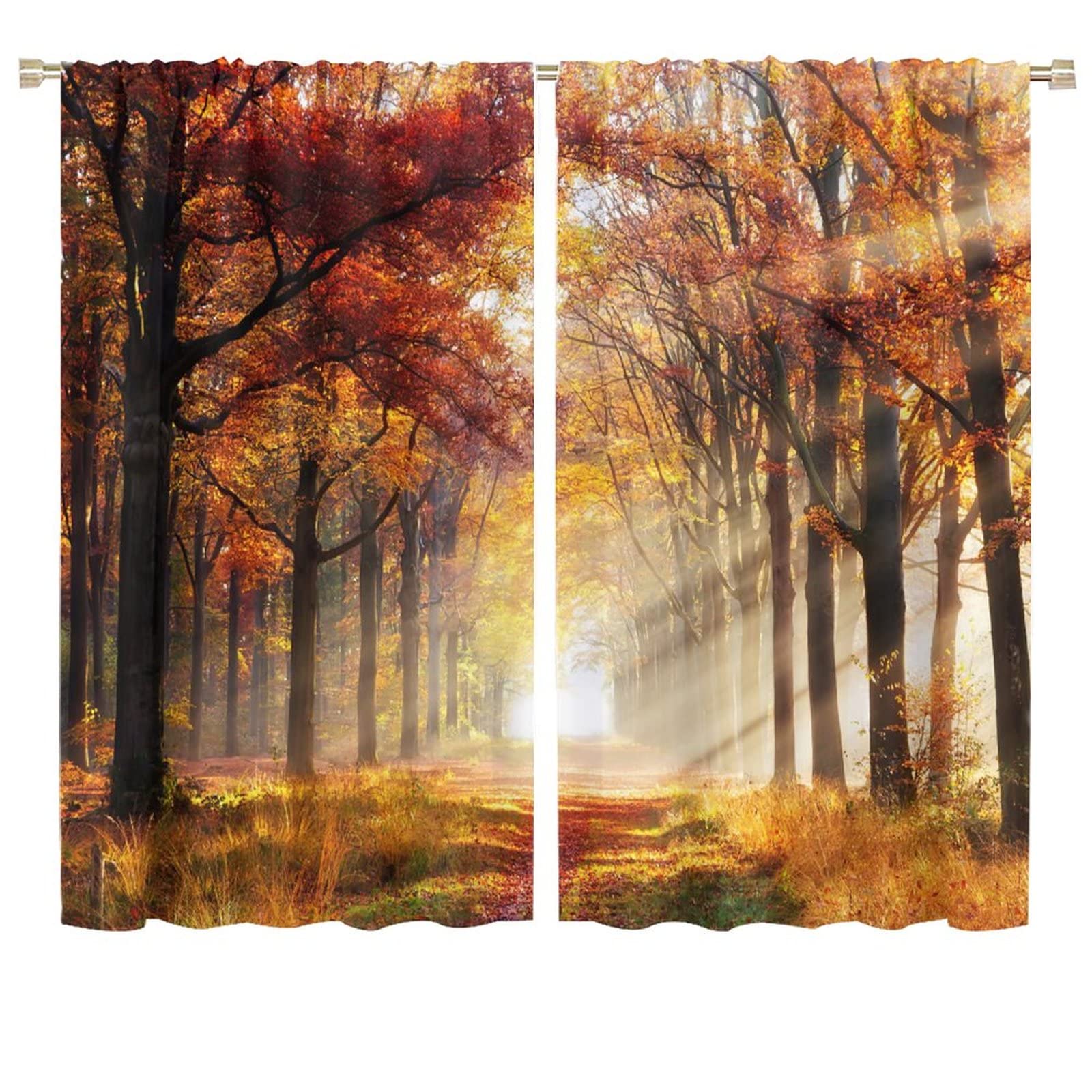 JESTRONRY Nature Kitchen Curtains,Country Forest Trees Sunshine Autumn Scenery,Living Room Bedroom Rod Pocket Window Drapes 2 Panel Set W72xL63in