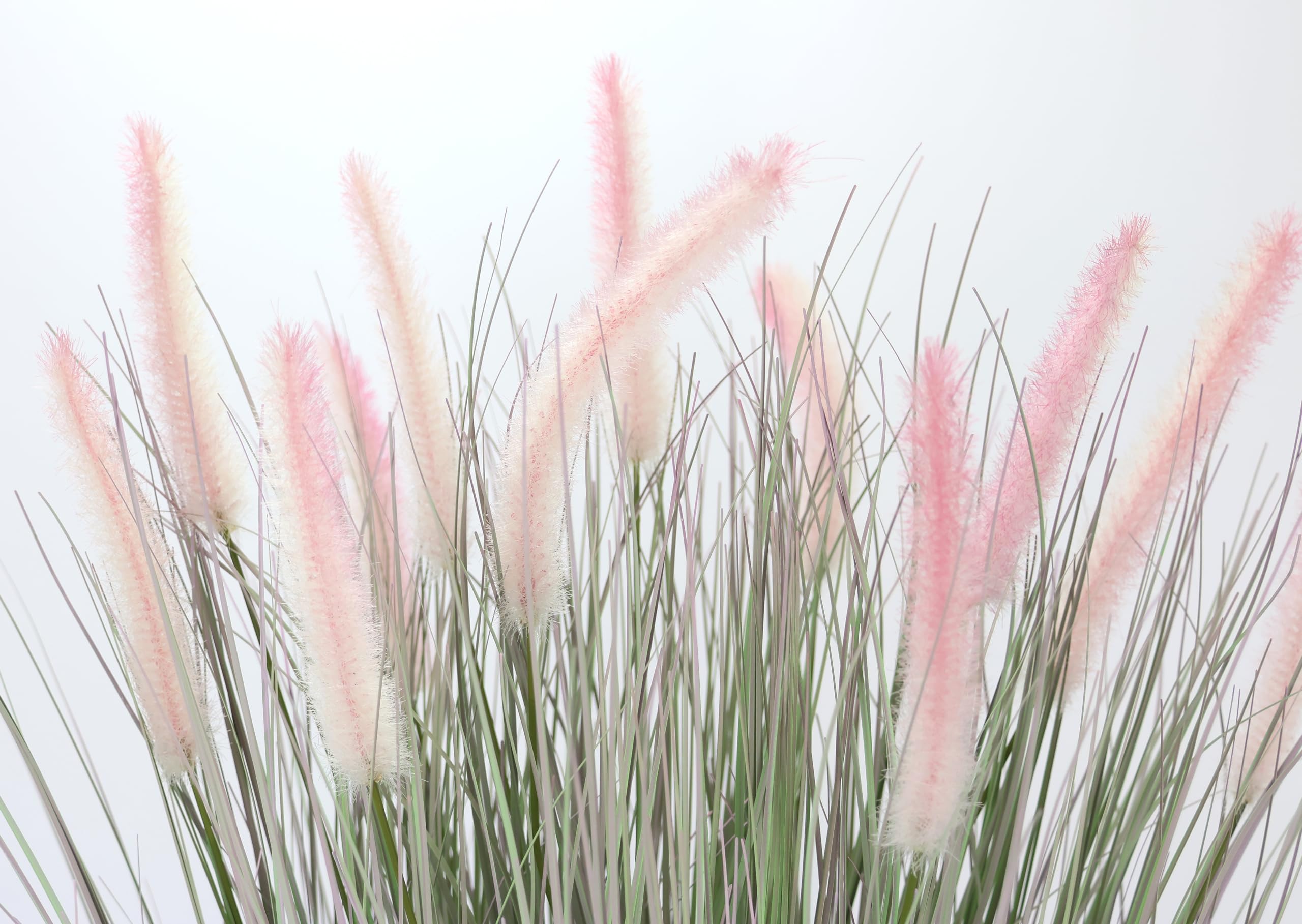 Kunstgras in pot, gras, kunstgras, kunstgras, groene planten, decoratiegras, siergras, solitair gras, decoratie, grasarrangement, borstengierst, panicoideae, zoetgras, Setaria