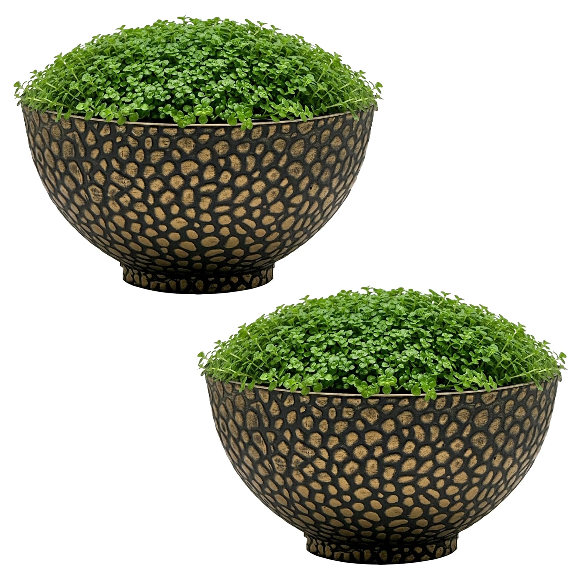 SG Traders Cathay Bowl Plant Pot Large Garden Plant Pots Elegant Design, Garden Planters Outdoor With Drainage Holes, Versatile Flower Pots and Planters