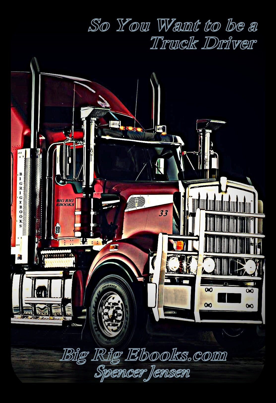 So You Want to be a Truck Driver (BigRig Training Book 1)