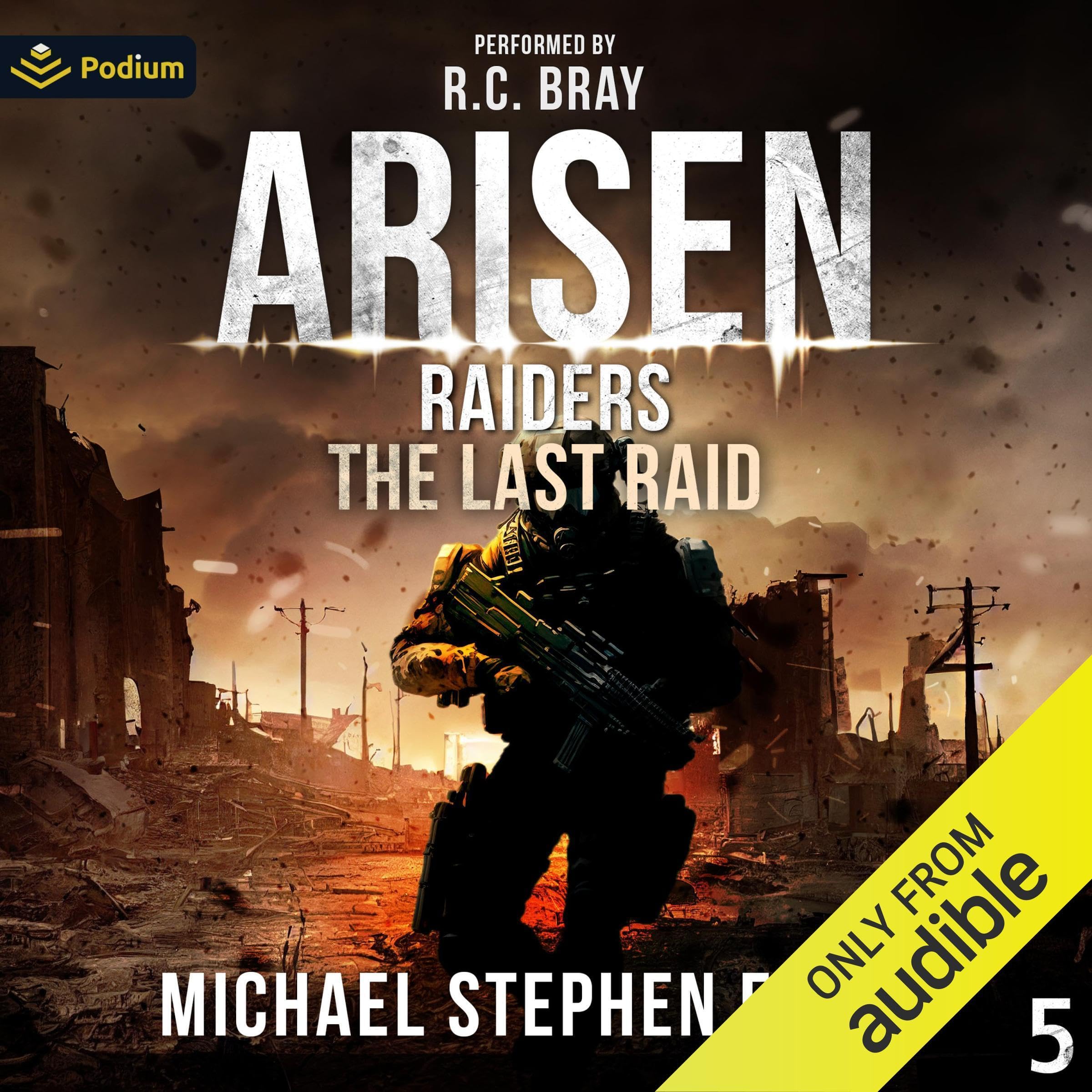 Cover art for The Last Raid