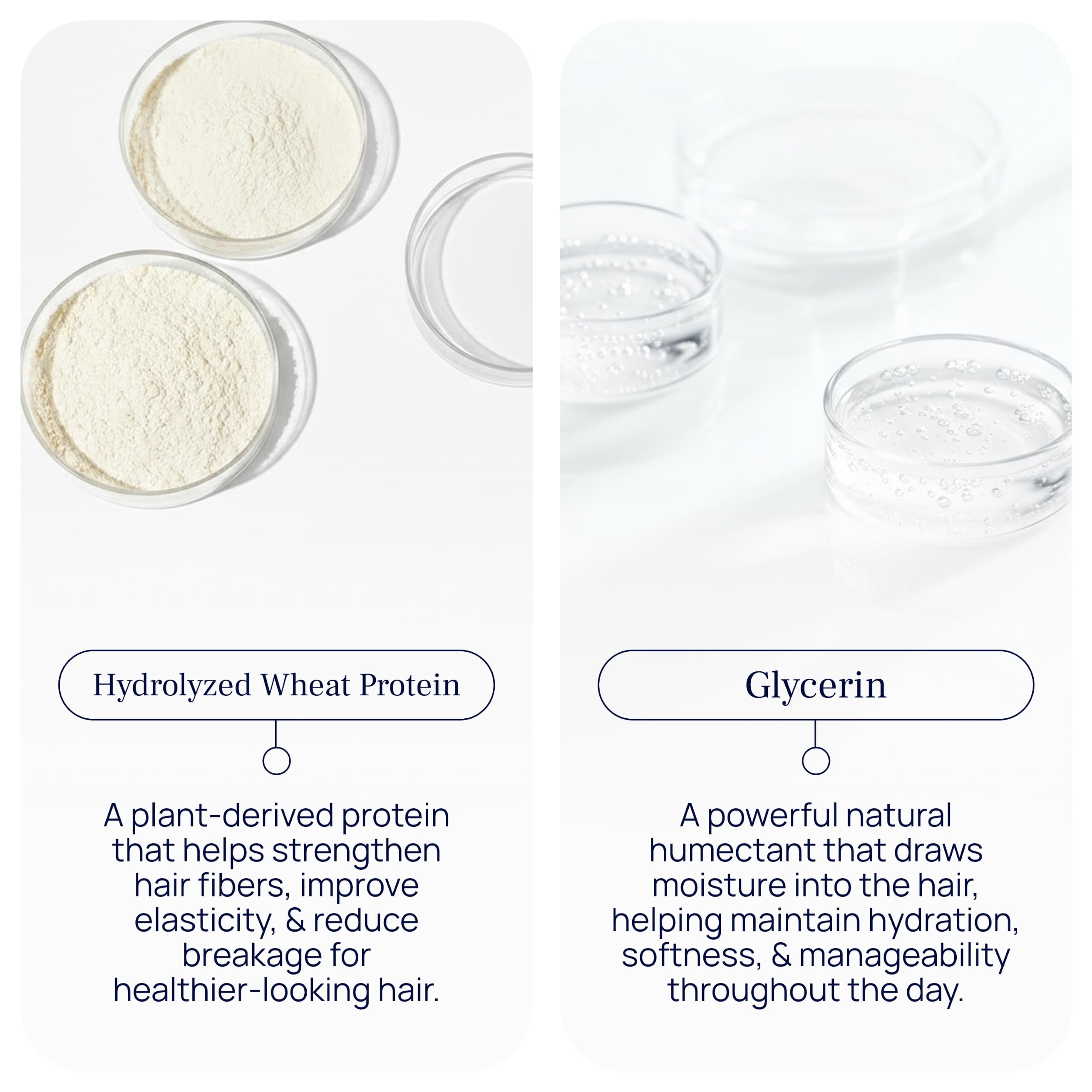 PUREANCE HydraSilk Moisturizing Hair Conditioner for Dry, Damaged Hair
