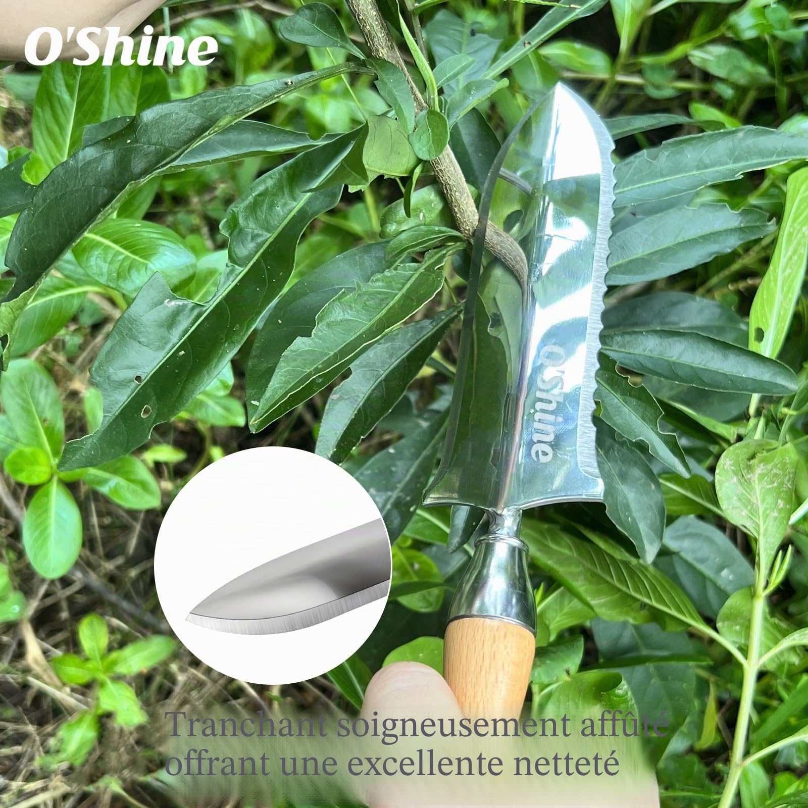O'Shine Couteau de jardin japonais Hori Hori de 14 cm, petit couteau de sol en acier inoxydable pour planter et transplanter, outil de jardinage de qualité supérieure avec gaine, joli cadeau de jardin