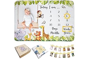 A&JS TOTS Disney Milestone Blanket