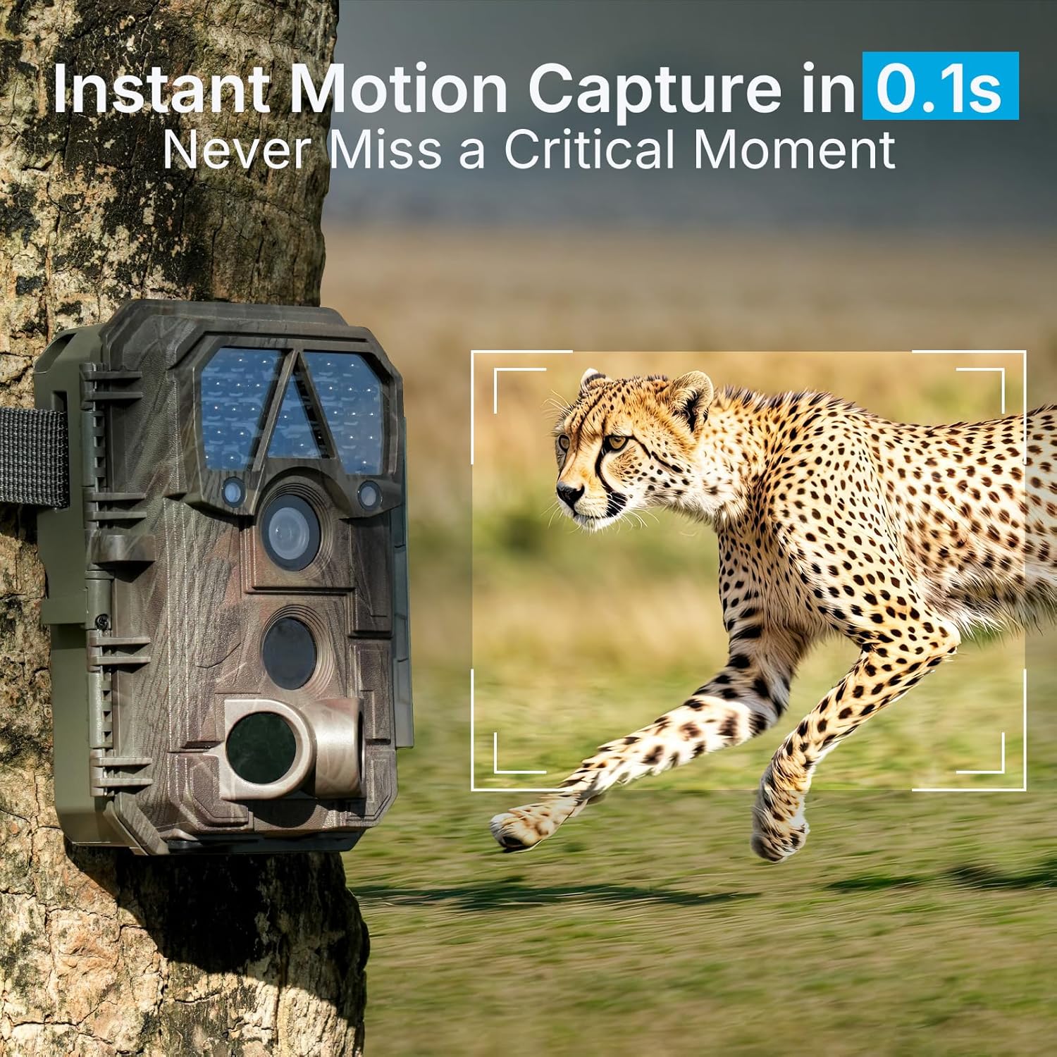 Meidase 2 Pack (Non-Cellular, Non-WiFi) Trail Camera P70, 64MP 1296p, No-Glow IR Night Vision, Motion Activated, Waterproof, Game Camera