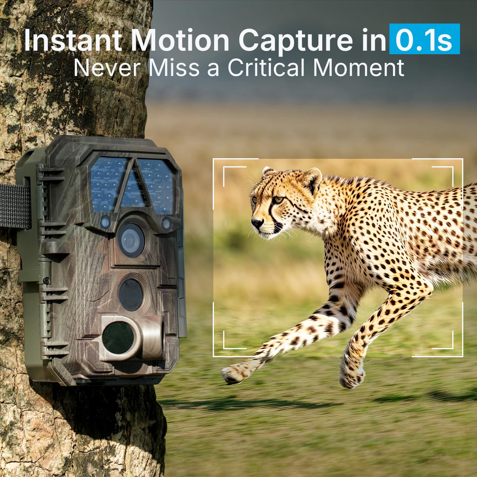 Meidase P70 Trail Camera, 64 MP 1296p, telecamere da gioco con visione notturna IR No-Glow IR, attivata dal movimento, impermeabile per animali selvatici cervi cam, caccia