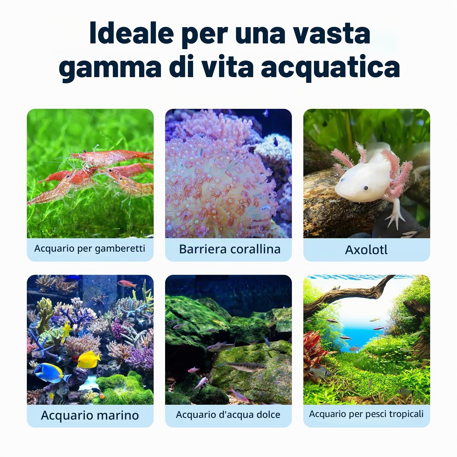 Ventilatore refrigerante per acquario, dispositivo di raffreddamento per acquari con controllo della temperatura, impostazione minima 15 °C, avvio/arresto automatico, effetto refrigerazione da -16,1 a