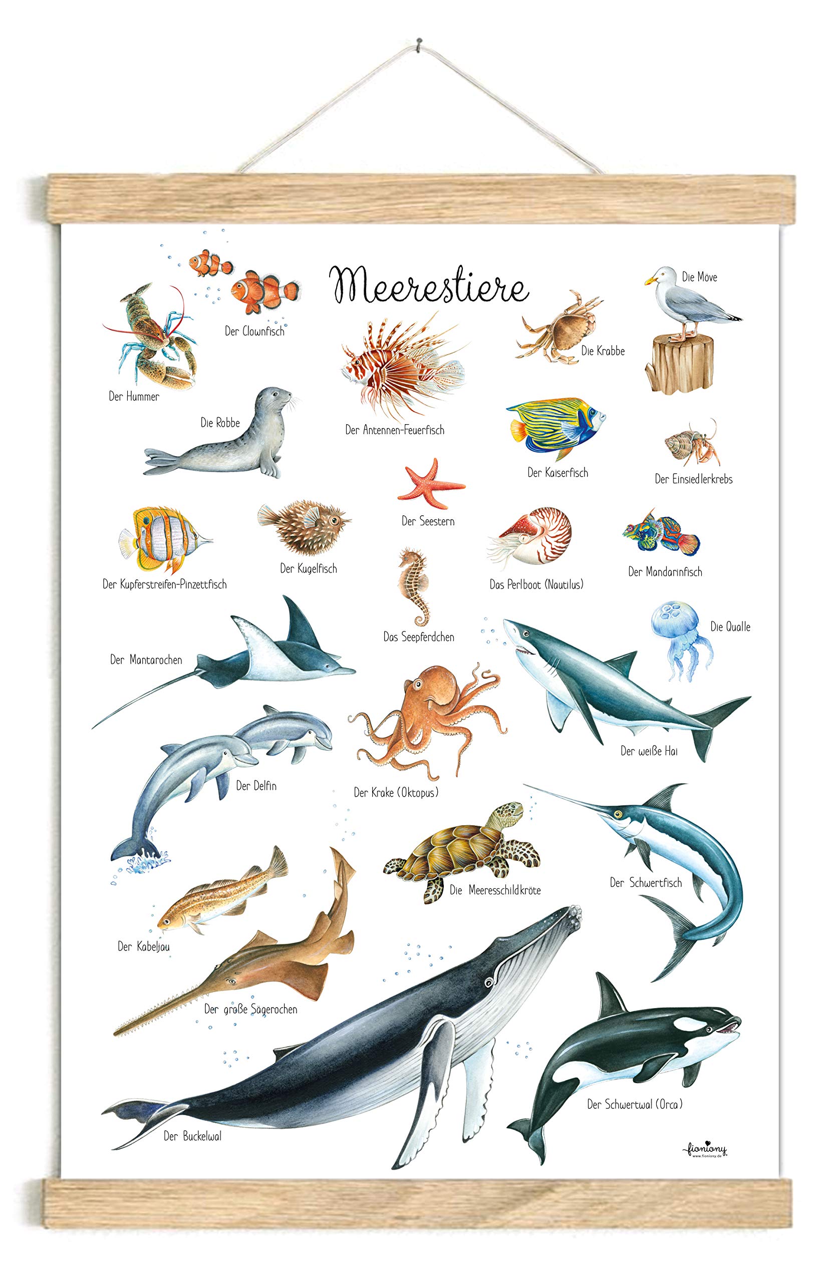 fioniony POSTER 50 x 70 cm MEERESTIERE WEIß UNGERAHMT OHNE HOLZLEISTE Tierposter Lernposter Schulanfang 1. Klasse Kinderposter Kinderzimmer Deko Geburt Babyzimmer Wandbild Schule Kindergarten