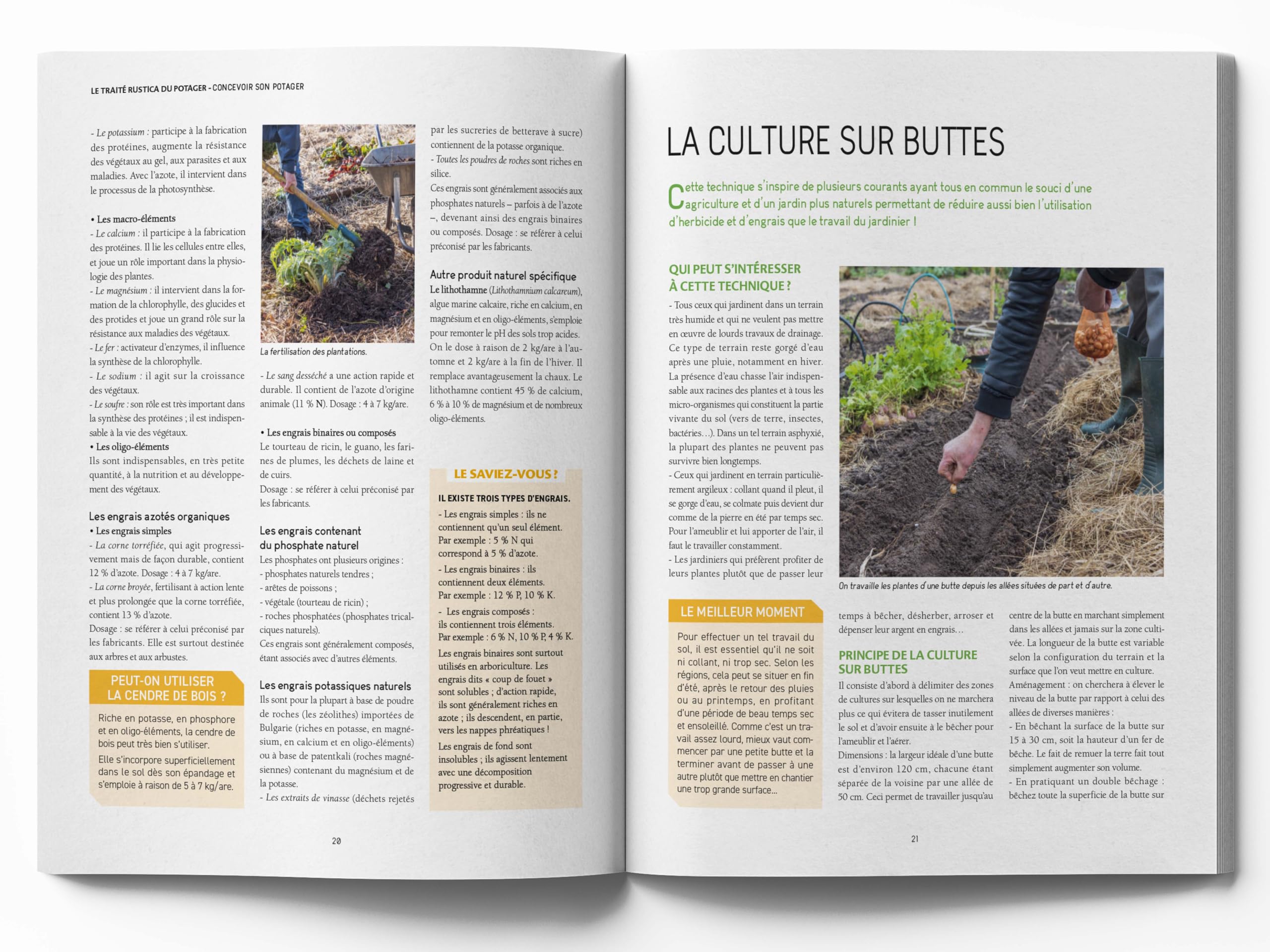 Le traité Rustica du potager