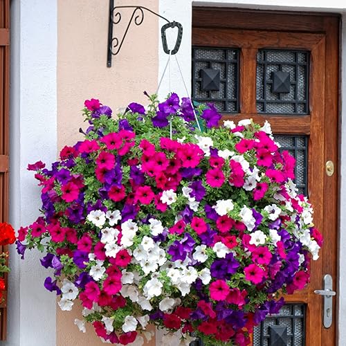 Miniatura 7 de Llavero de mosquetón táctico, paquete de 121516 mosquetones de polímero duro, anillos D, peso ligero, clip de engranaje, ganchos de utilidad,