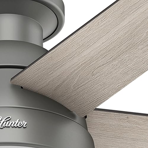 Miniatura 10 de Anslee