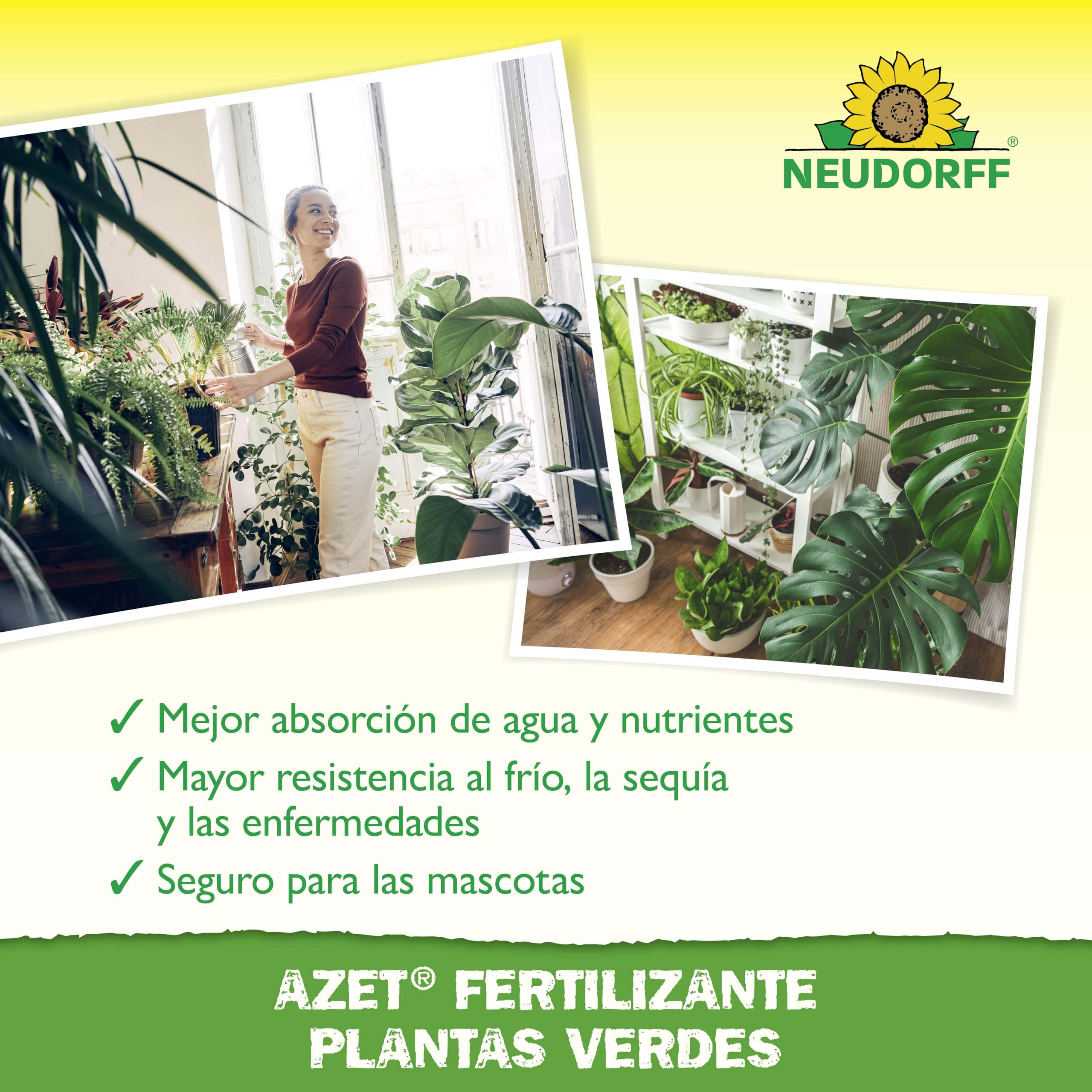 Neudorff Azet Fertilizante Plantas Verdes - Abono orgánico 100% natural para un crecimiento rápido y hojas de color verde intenso para todas las plantas verdes, 250 ml