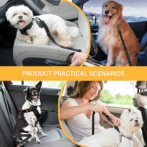 Miniatura 7 de Cinturón de seguridad de coche para perros