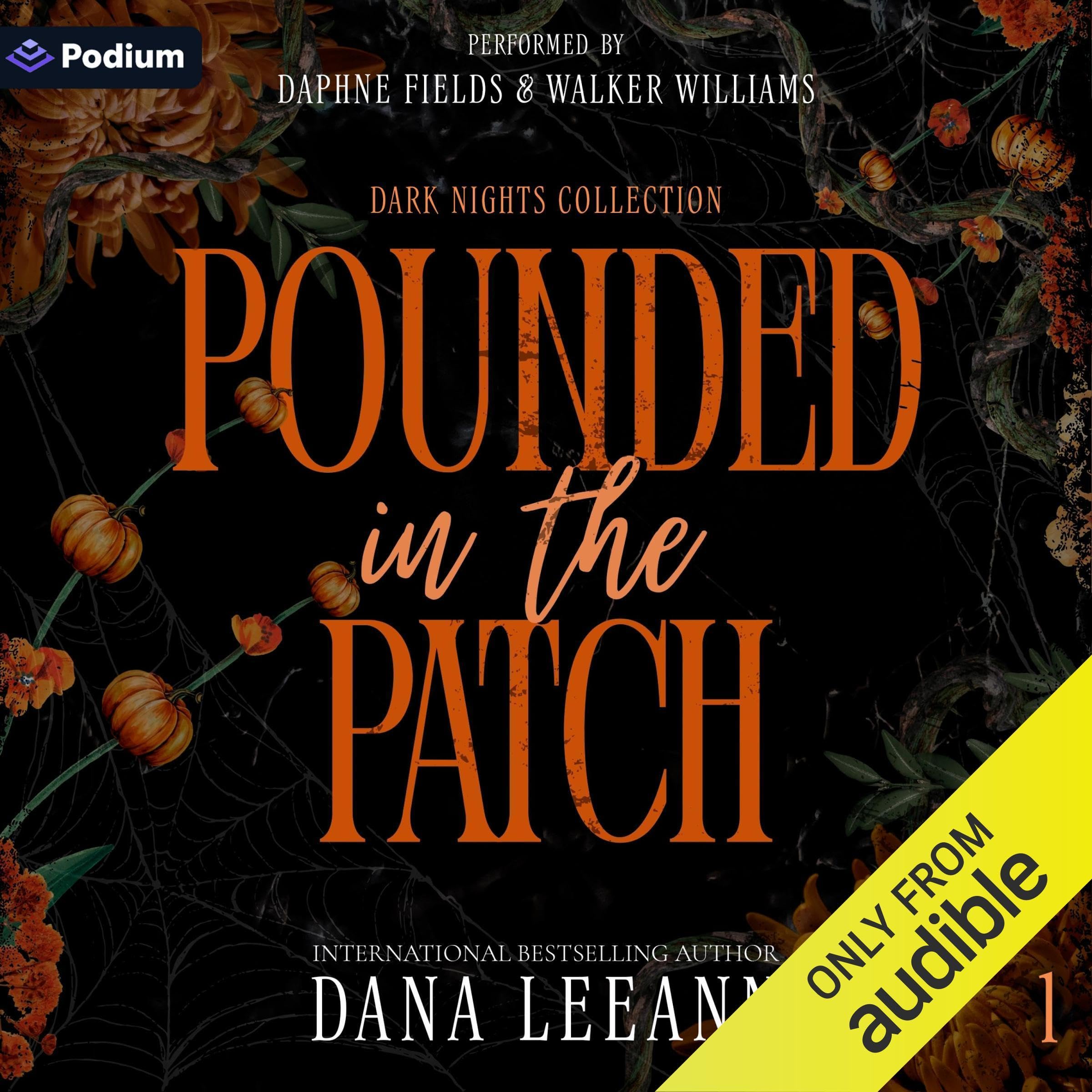 Cover art for Pounded in the Patch