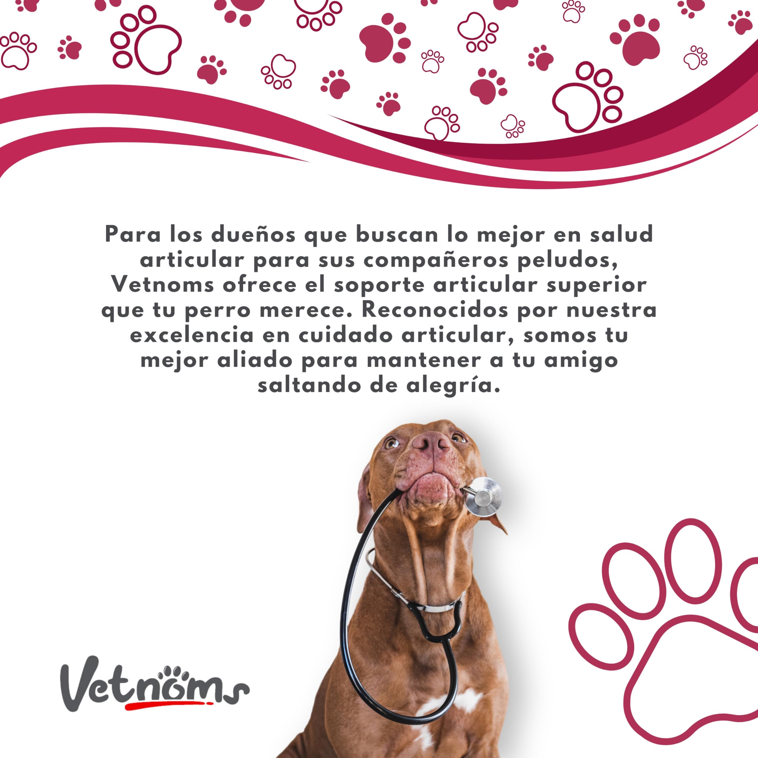 Condroprotector Perros con Msm - Antiinflamatorio Perros, Glucosamina Condroitina Perros. Condoprotectores Perros Grandes. Fortalece Articulaciones Perro. Condoprotectores Perros.