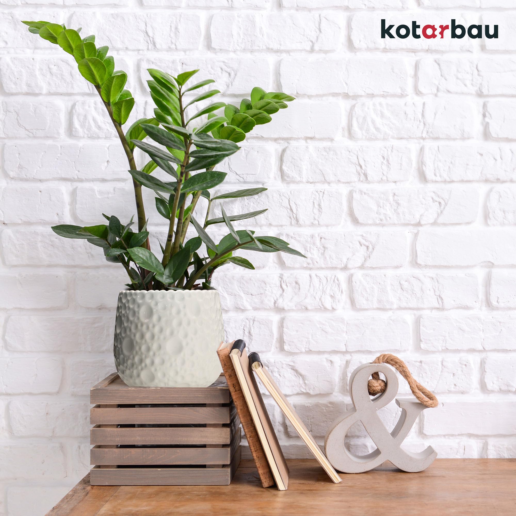 KOTARBAU Lot de 2 Pots de Fleurs Ronds en céramique, diamètre : 12 cm, Hauteur : 12,5 cm, Blanc, Cache-Pot pour Plantes d'intérieur, Modernes, Petits Pots pour orchidées