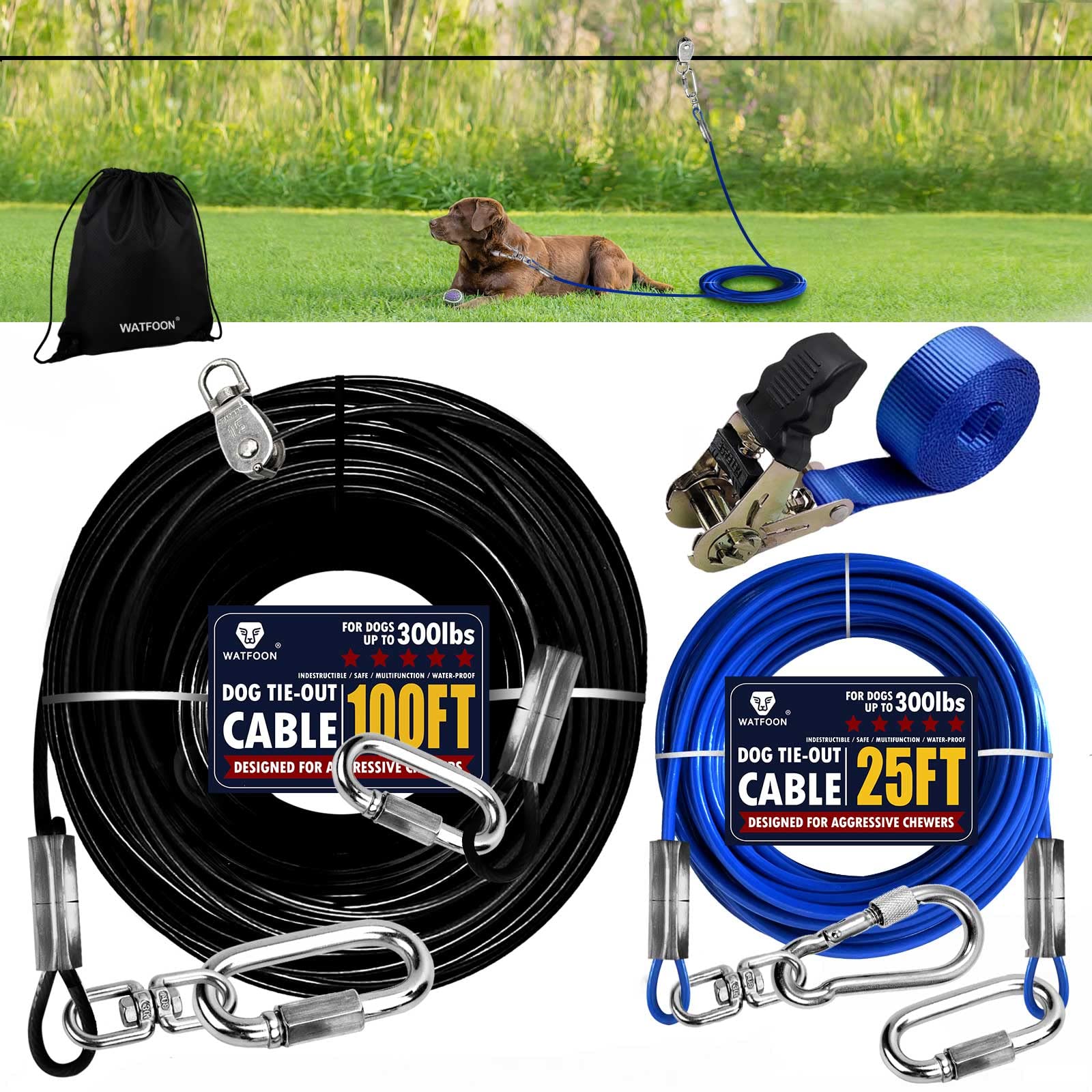 Are Dog Cable Runs Safe