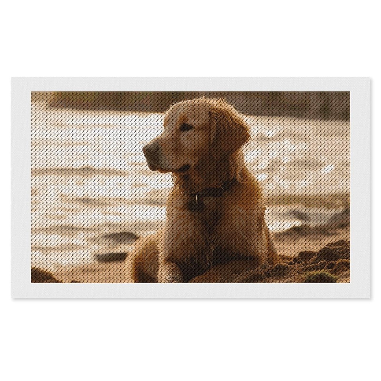 NONHAI Diamond Painting Kits for Adults - DIY Diamond Art Kits for Beginners - Full 5D Paint Drill Diamond Dots Paintings- Retriever Diamonds Pictures Gem Art and Craft Wall Decor 12"x20"