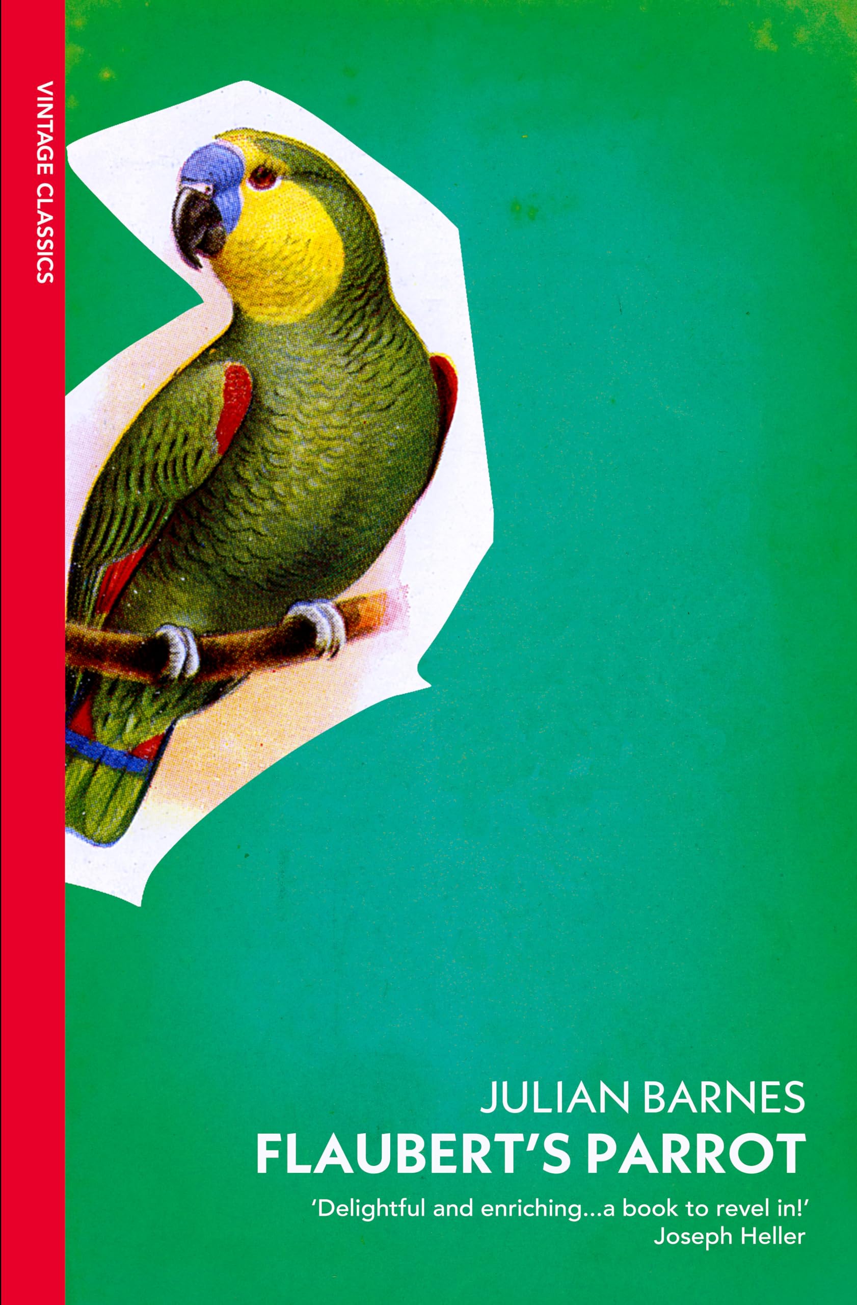 Flaubert's Parrot by Julian Barnes (Paperback/softback, 2009)