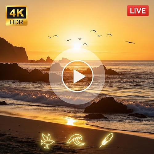 Seabirds at Sunset 4K – Coastal Relax Ambience Fire TV