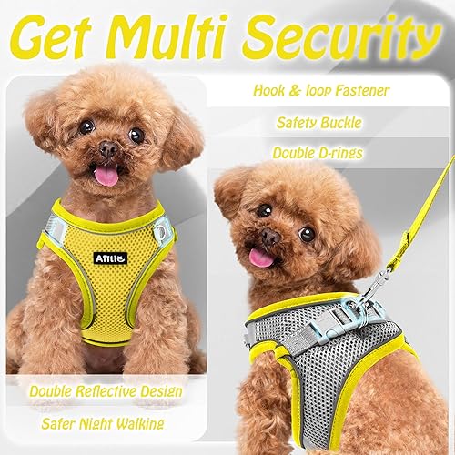 Miniatura 52 de AIITLE Arnés Escalonado para Perro y Juego de Correa - Chaleco Arnés a Prueba de Escape Sin Tirones con Malla Suave y Bandas Reflectantes, Arneses