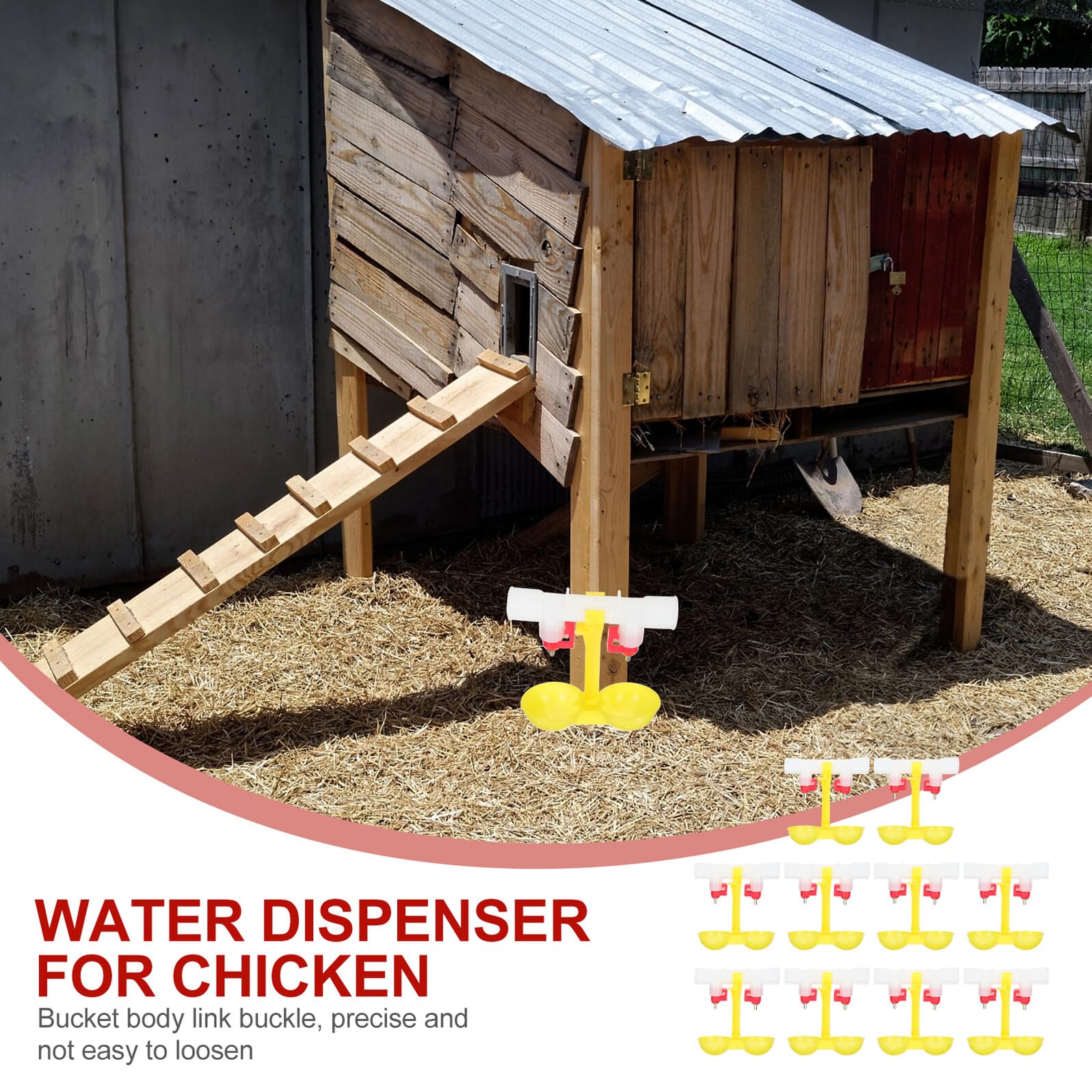 Abbeveratoio Galline Automatico 10 Pezzi, Acciaio Inox e Pp | Capezzolo 360°, Rimovibili, Facile Pulizia, per Quaglie e Polli, Dispenser ad Acqua