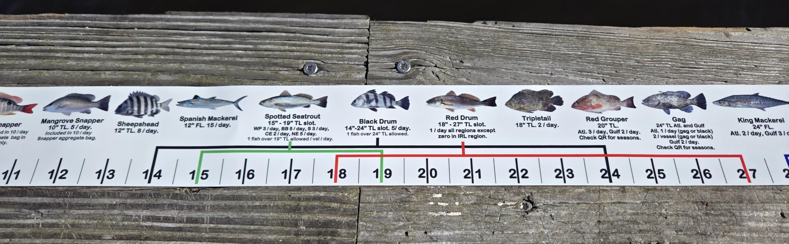 dual fish hooks back to back Tandem Hooks