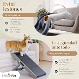 Ver la foto 8