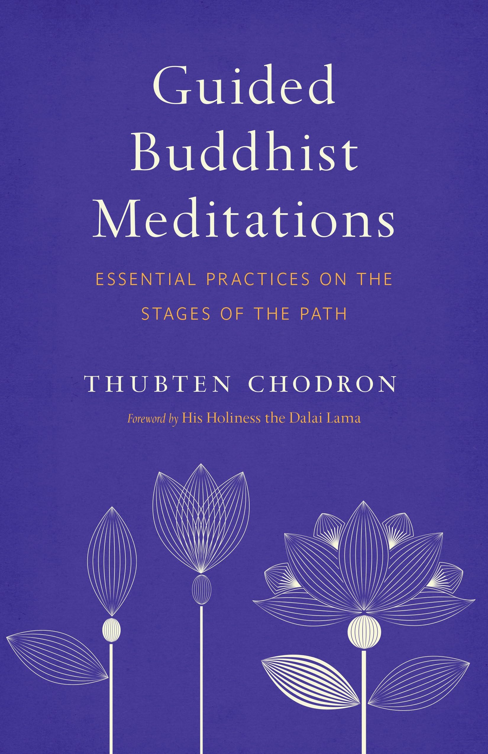 Guided Buddhist Meditations: Essential Practices on the Stages of the Path Paperback – 30 July 2019