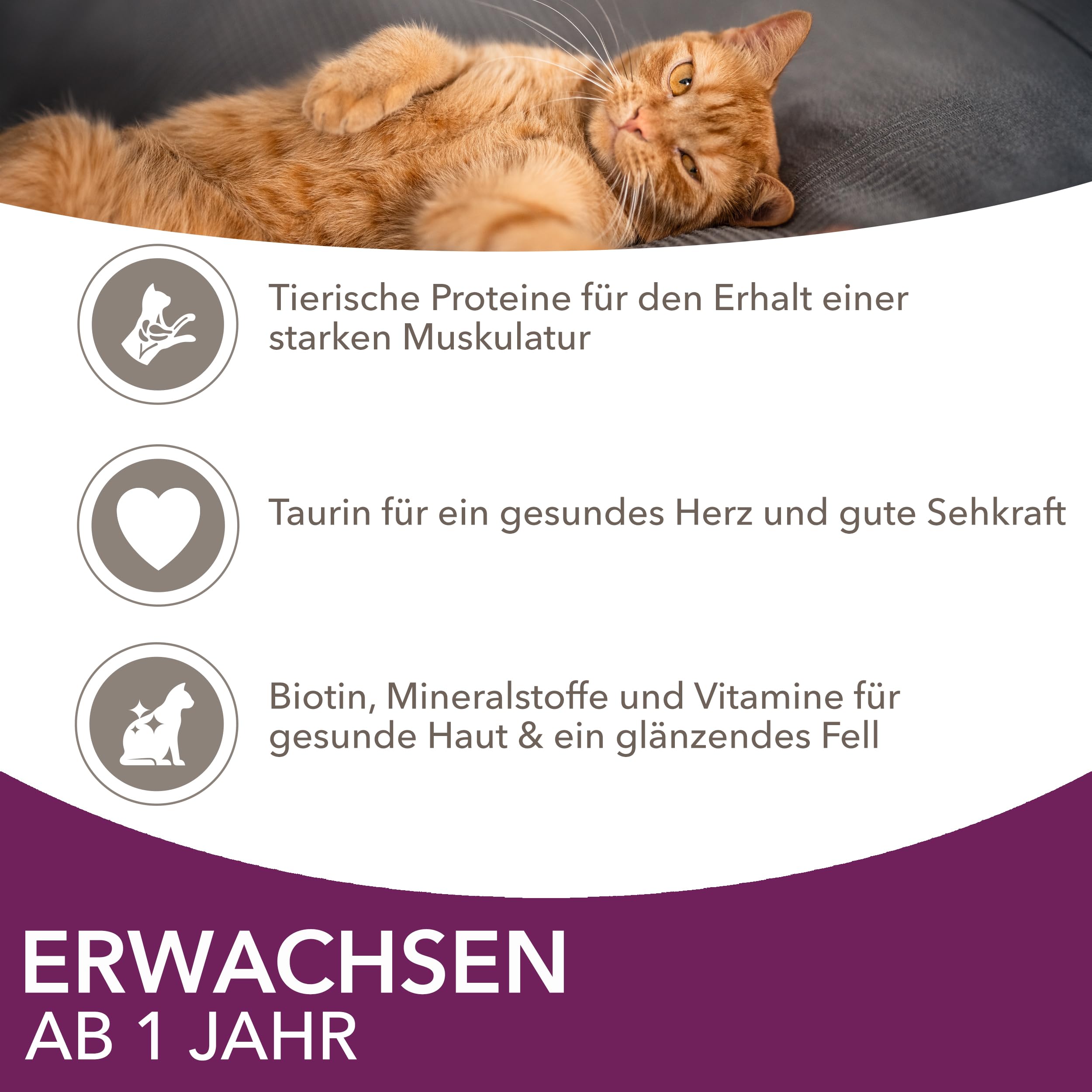 IAMS Delights Land & Sea Collection Katzenfutter Nass, 72 x 85 g | Multipack | mit Fleisch und Fisch Sorten in Sauce | Nassfutter für Katzen | ab 1 Jahr