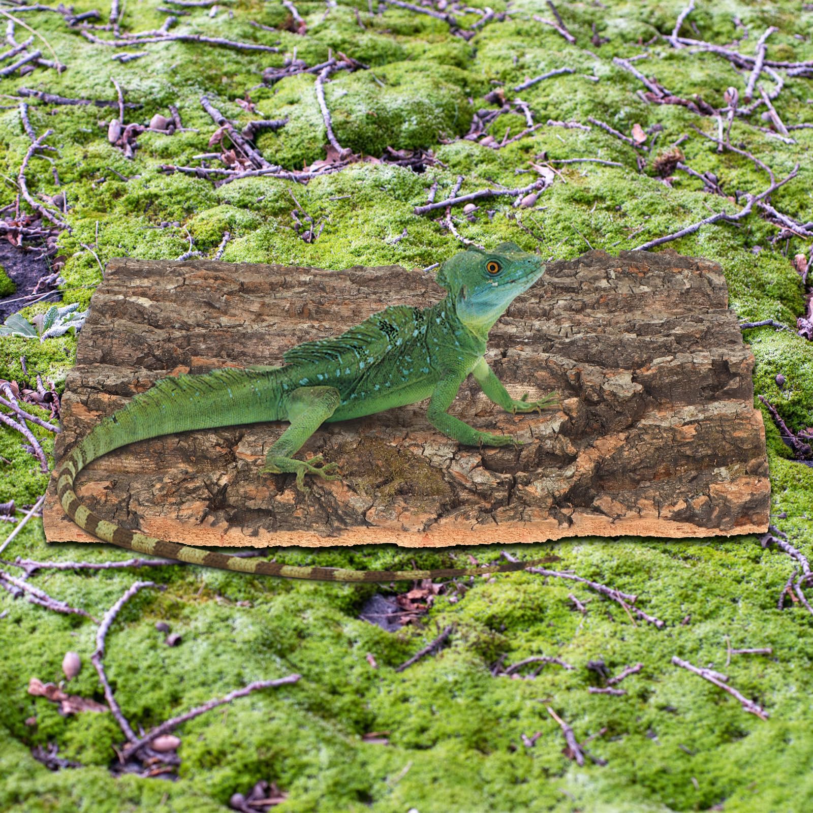 Hemobllo Paquete de 2 piezas de corteza de árbol de reptiles, material sintético marrón claro, decoración de terrarios, plataforma de escondite de serpientes, corteza trepadora de tortuga, 29,9 x 20,1