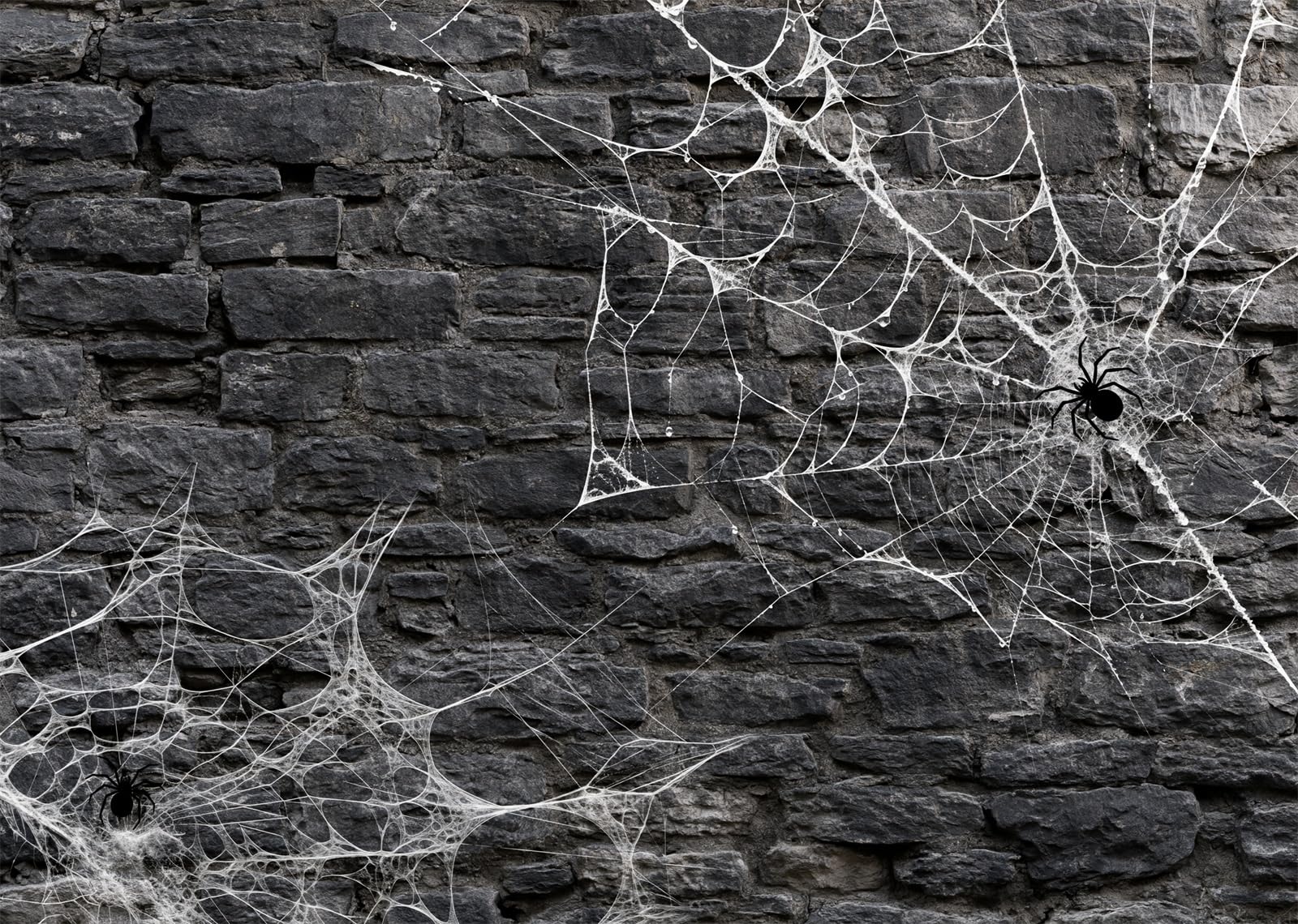 12x10FT (3.6x3m) Parete Pietra Scura Con Ragni Sfondo Fotografico