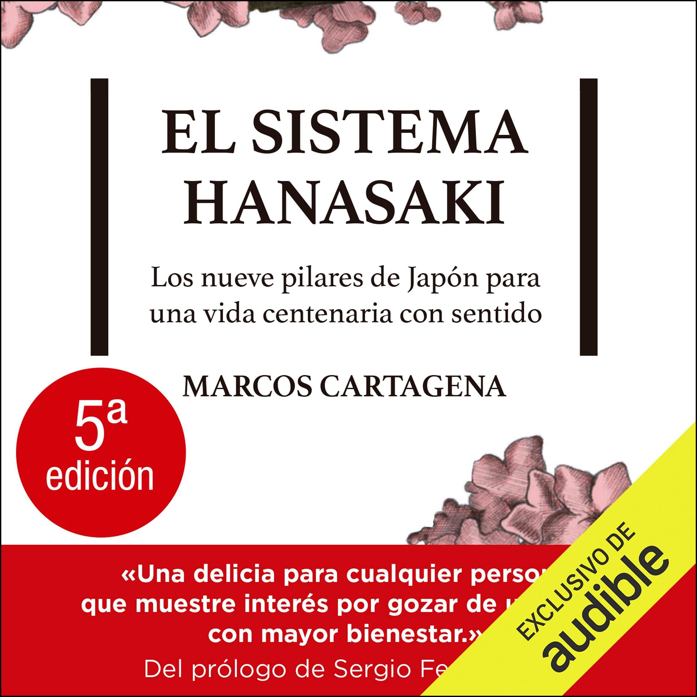 Cover art for El sistema Hanasaki [The Hanasaki System]