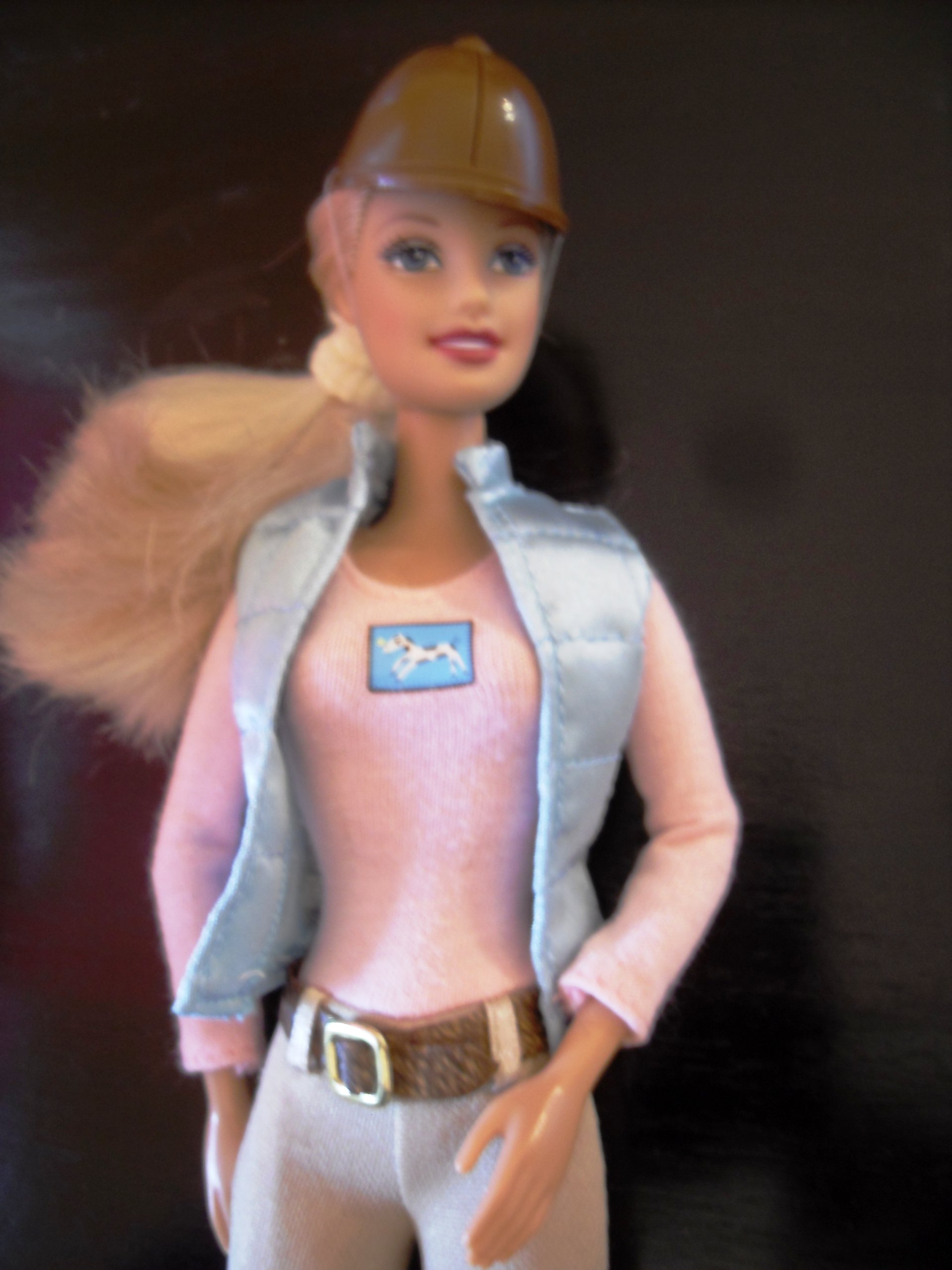 Barbie Amazona HIpismo Equitação : Amazon.com.br: Brinquedos e Jogos