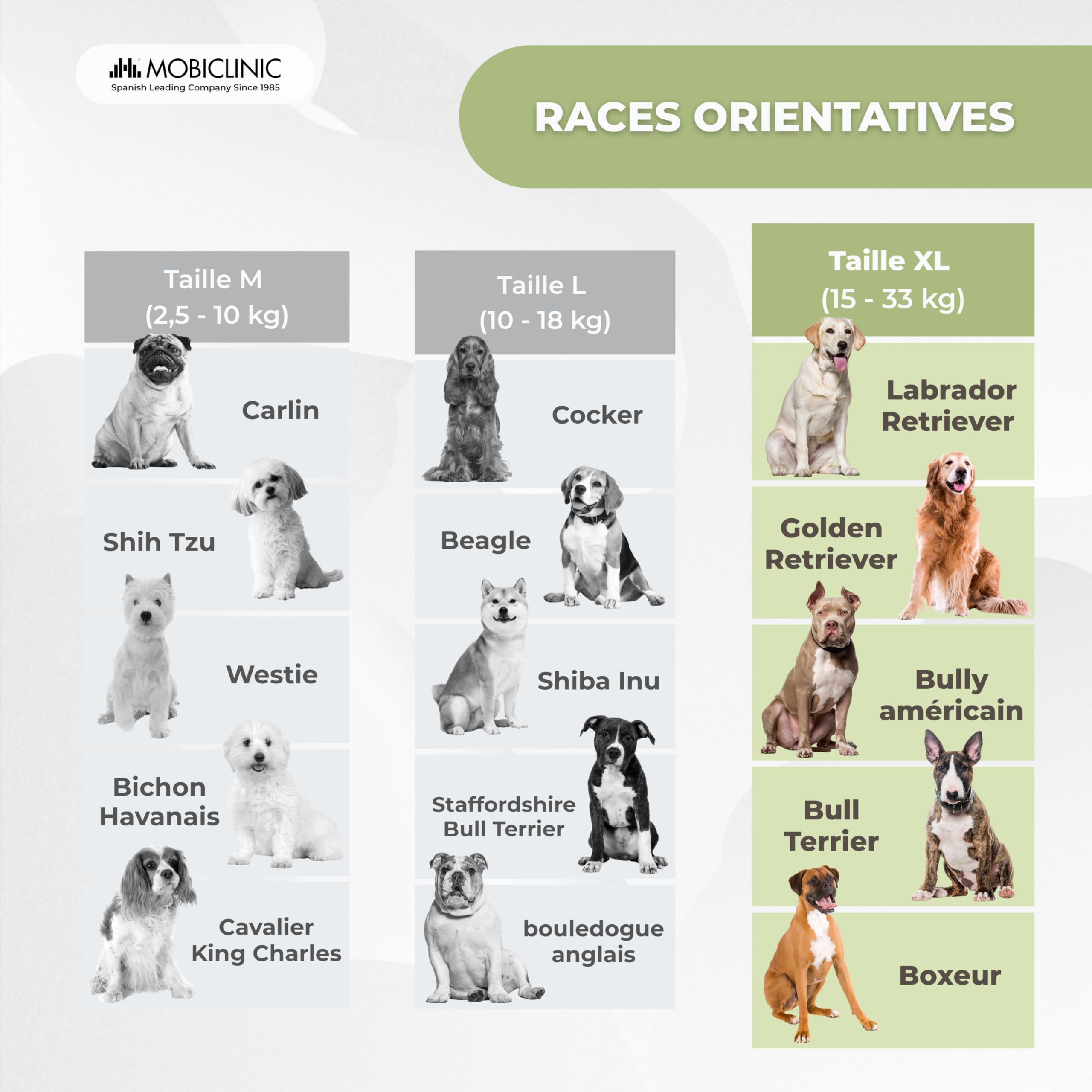 Mobiclinic®, Gilet de Sauvetage Chien, Design Aileron de Requin, Poignée de Sauvetage, Harnais Réglable, Anneau de Laisse, Flottabilité et Visibilité Élevées, Sharky, Léger, Natation, Surf, Voile (XL)
