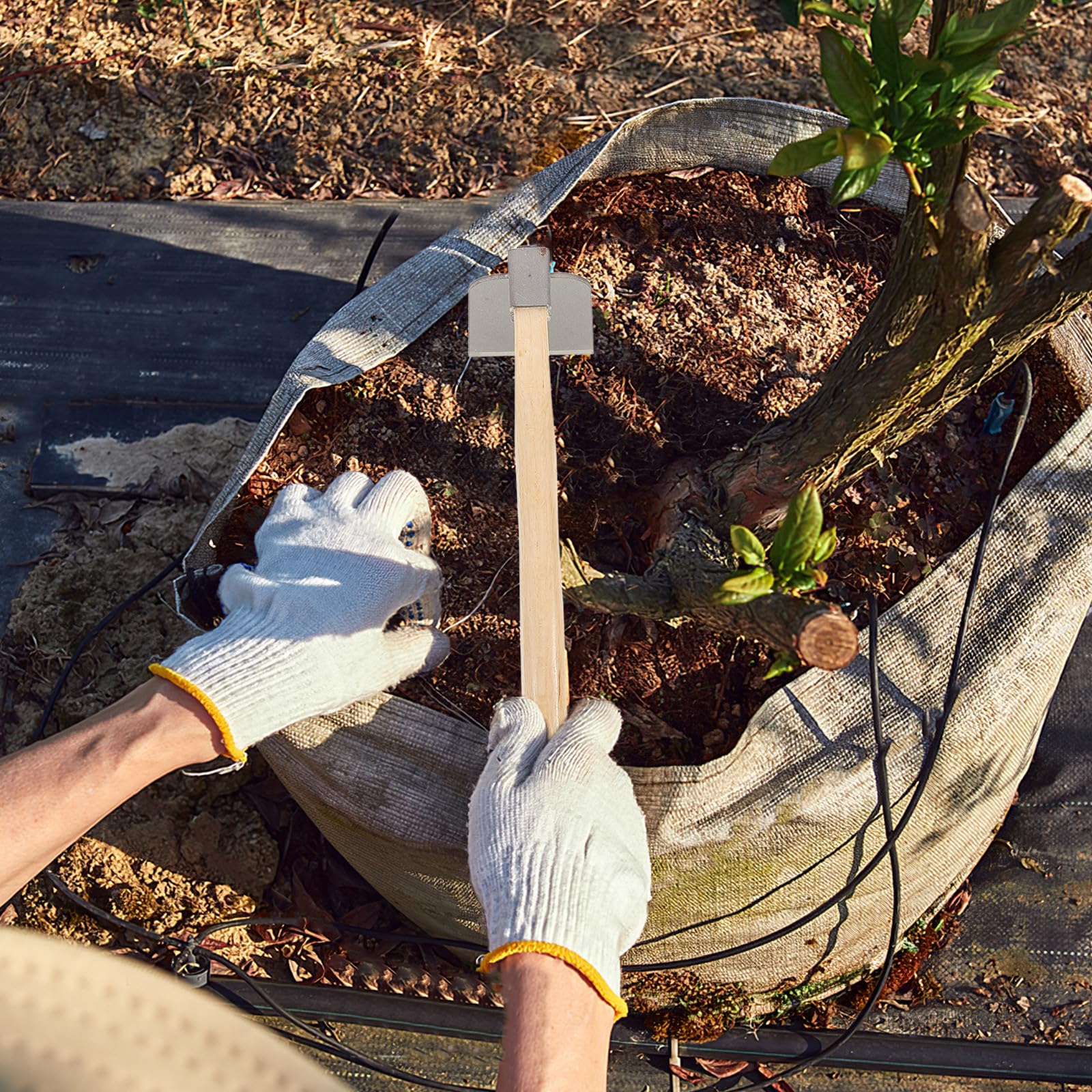 Pequeña Azada de Jardín de Acero Mango de Madera Ergonómico, Herramienta Manual para Desherbar y Paisajismo en Jardinería, Pack de 2 Piezas